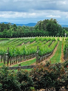 stories of business impact