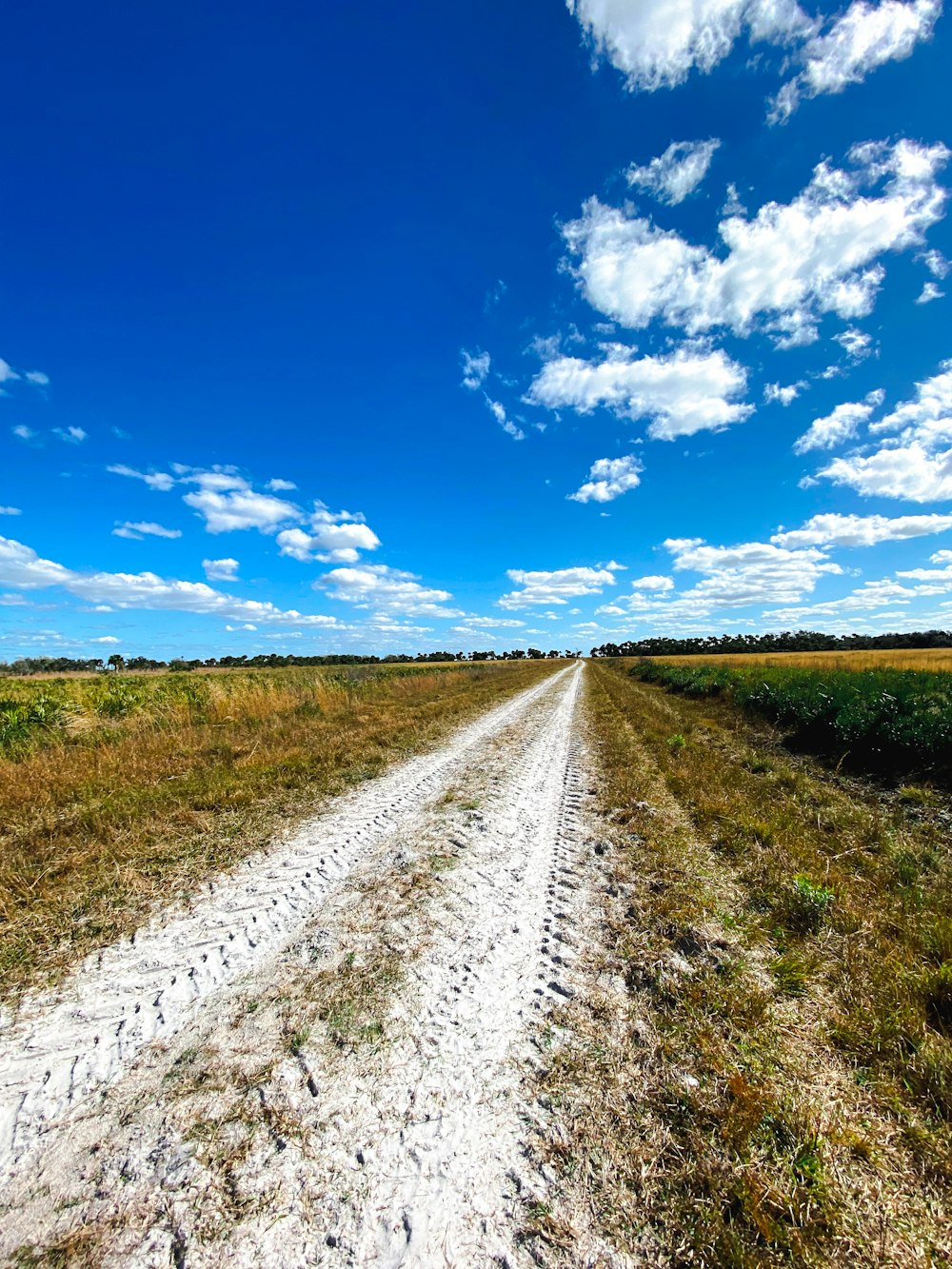 un camino de tierra en medio de un campo