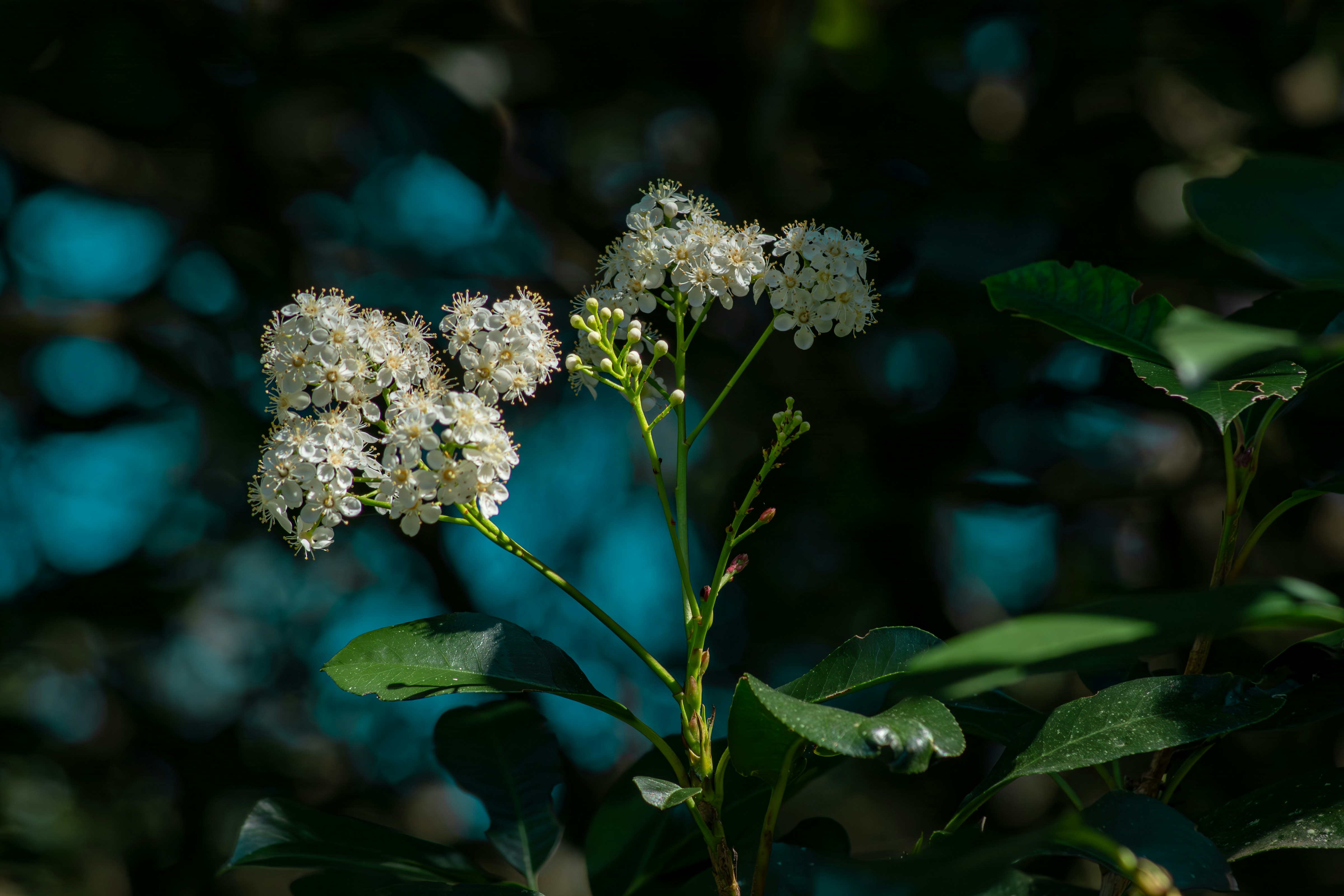 Photo by astro_civil