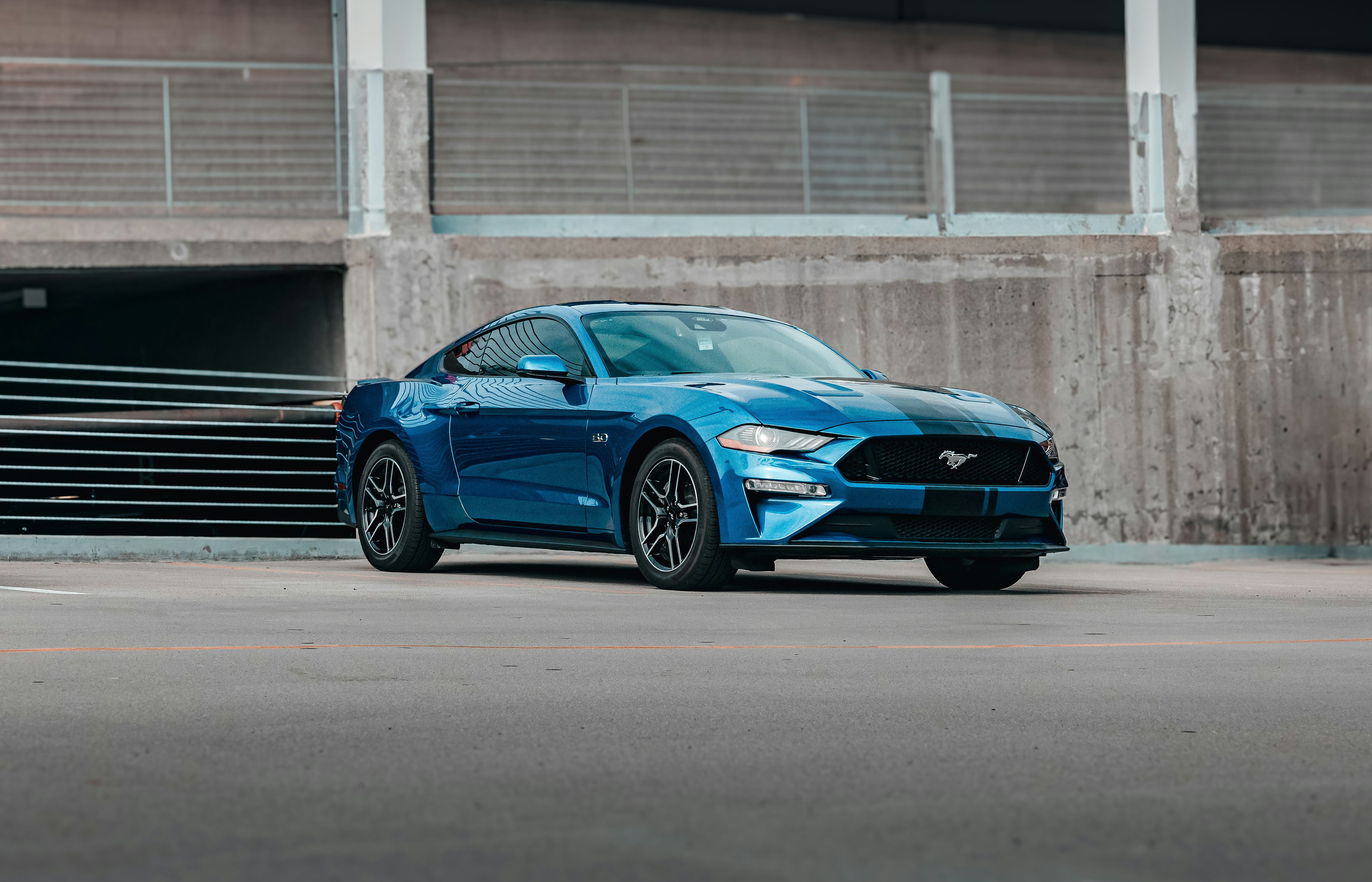 Photo by steven_jenkins_pnw