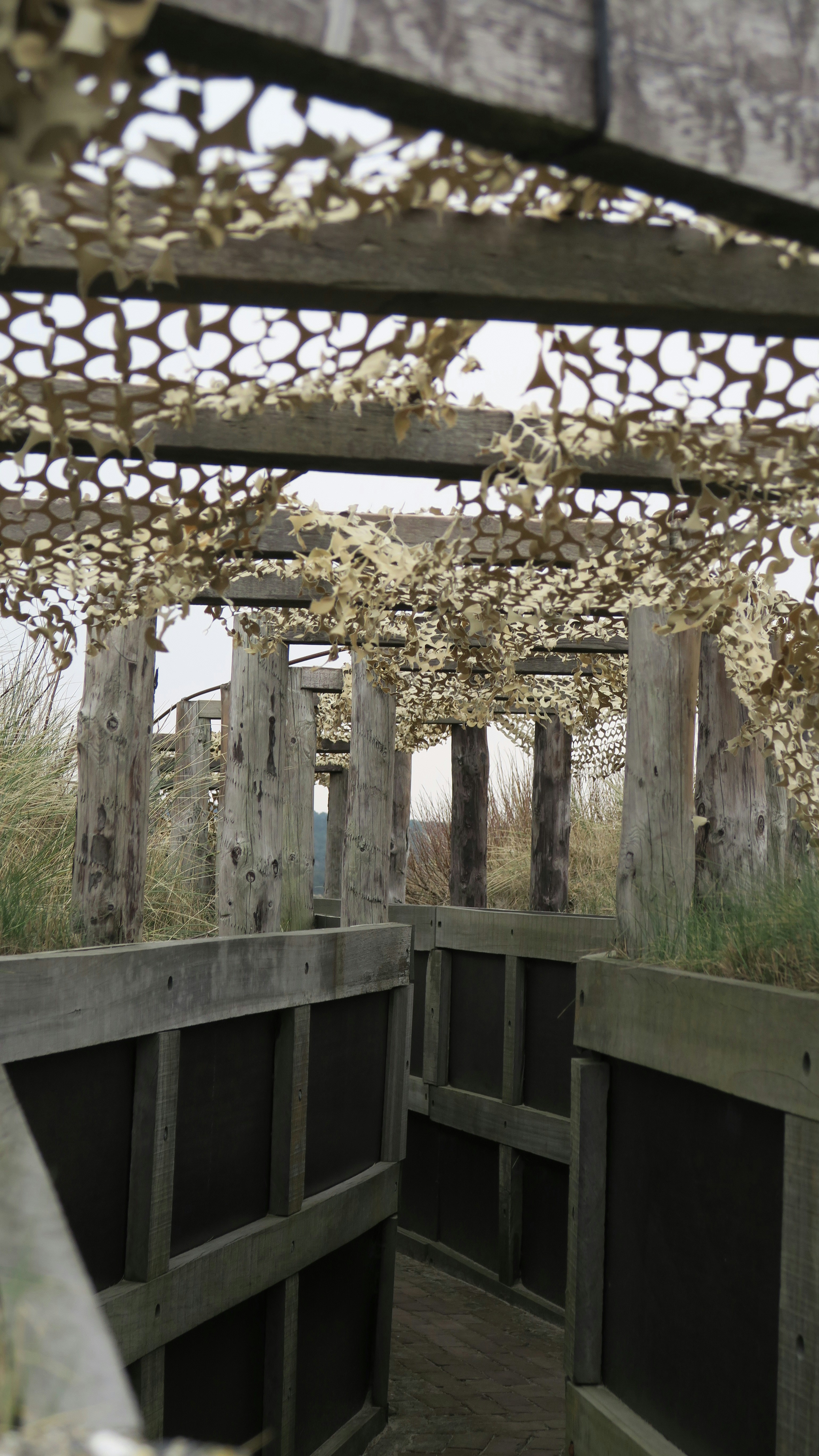 a wooden structure with a bunch of plants growing out of it