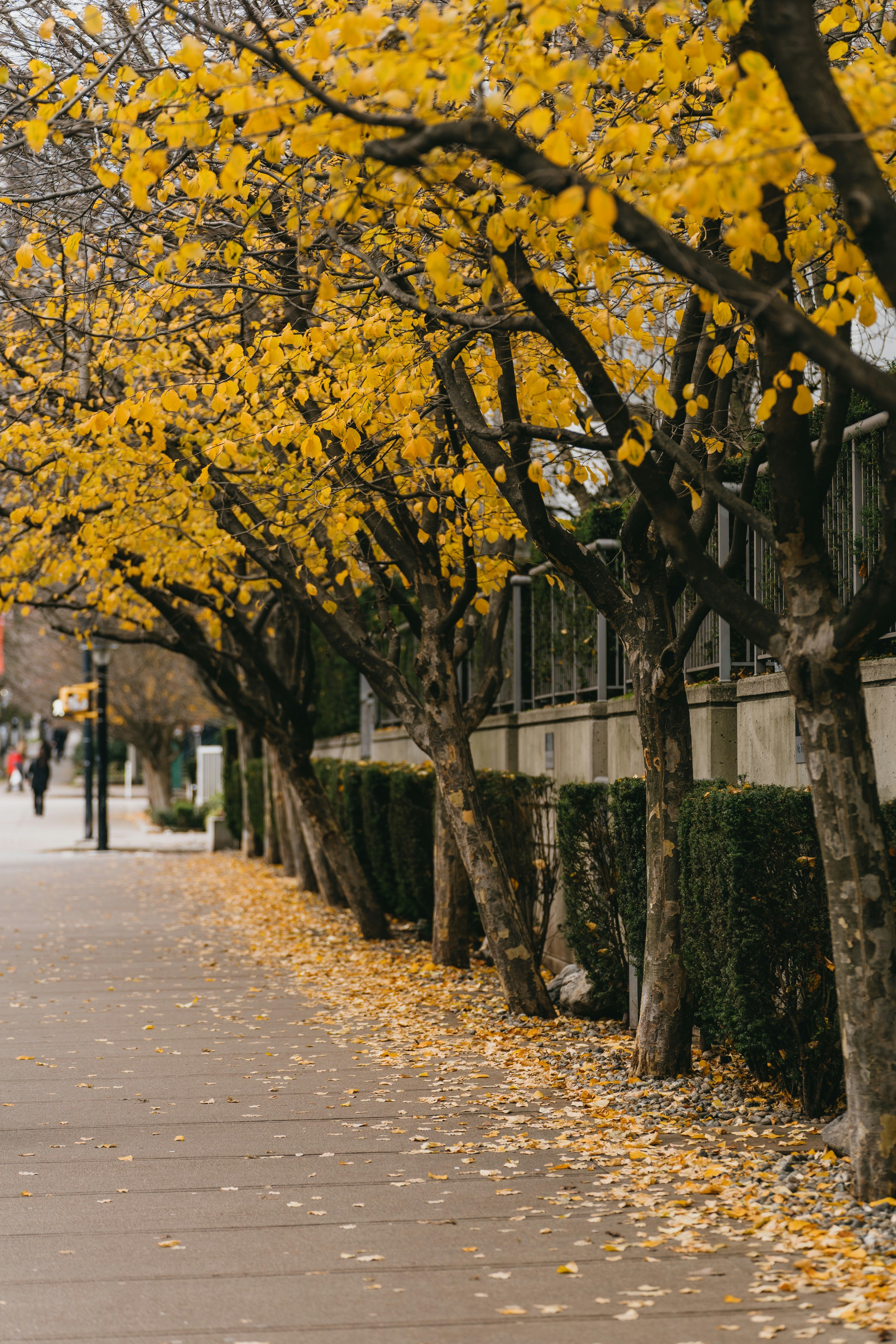 Photo by yileijerrybao