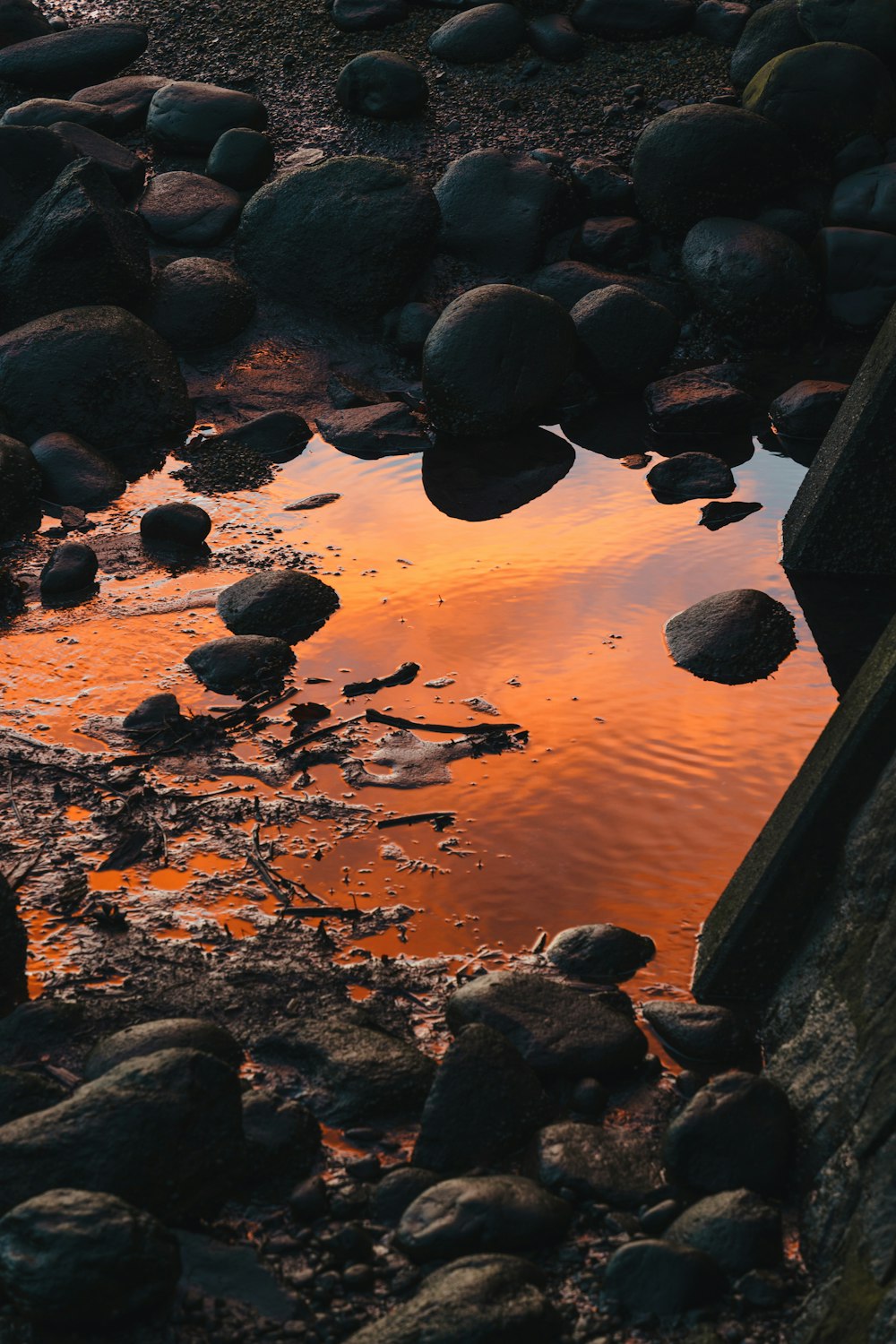 a small body of water surrounded by rocks