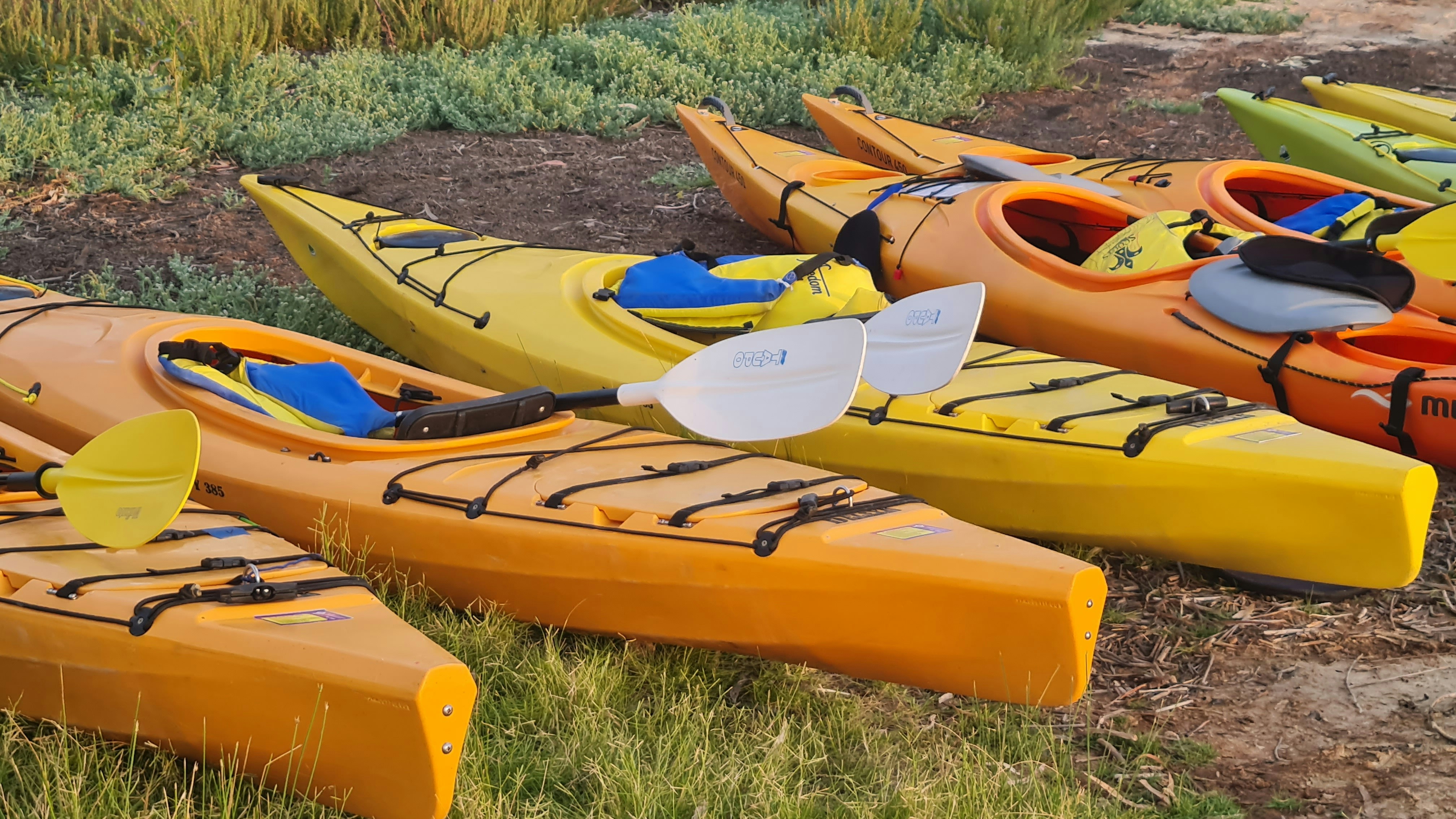 a group of kayaks sitting on top of a grass covered field