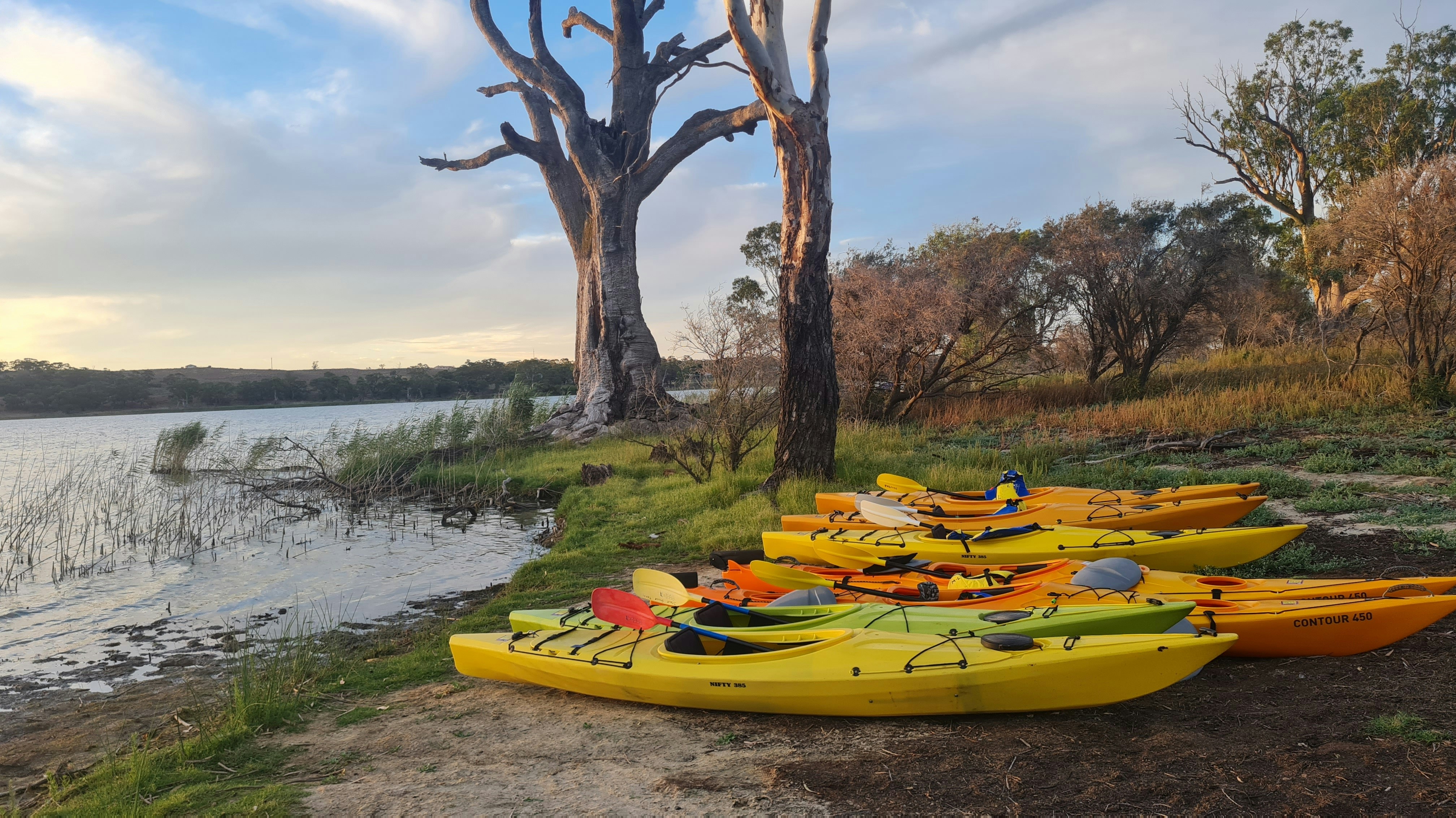 Carbunup River, Western Australia