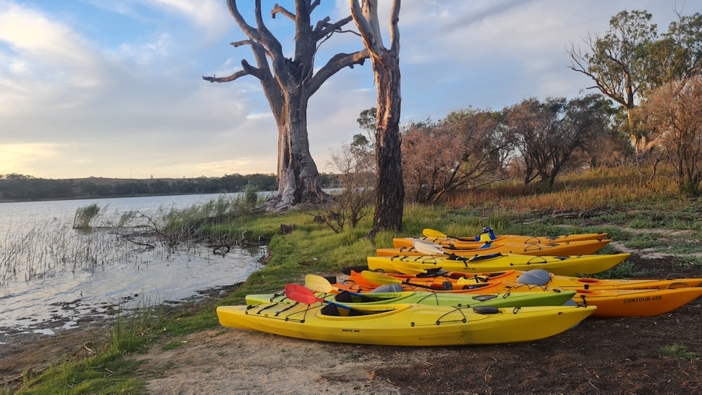 a group of kayaks sitting on the shore of a lake
