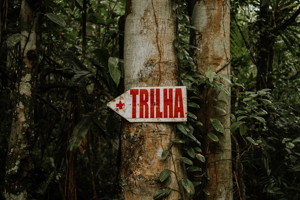 a sign that is on a tree in the woods