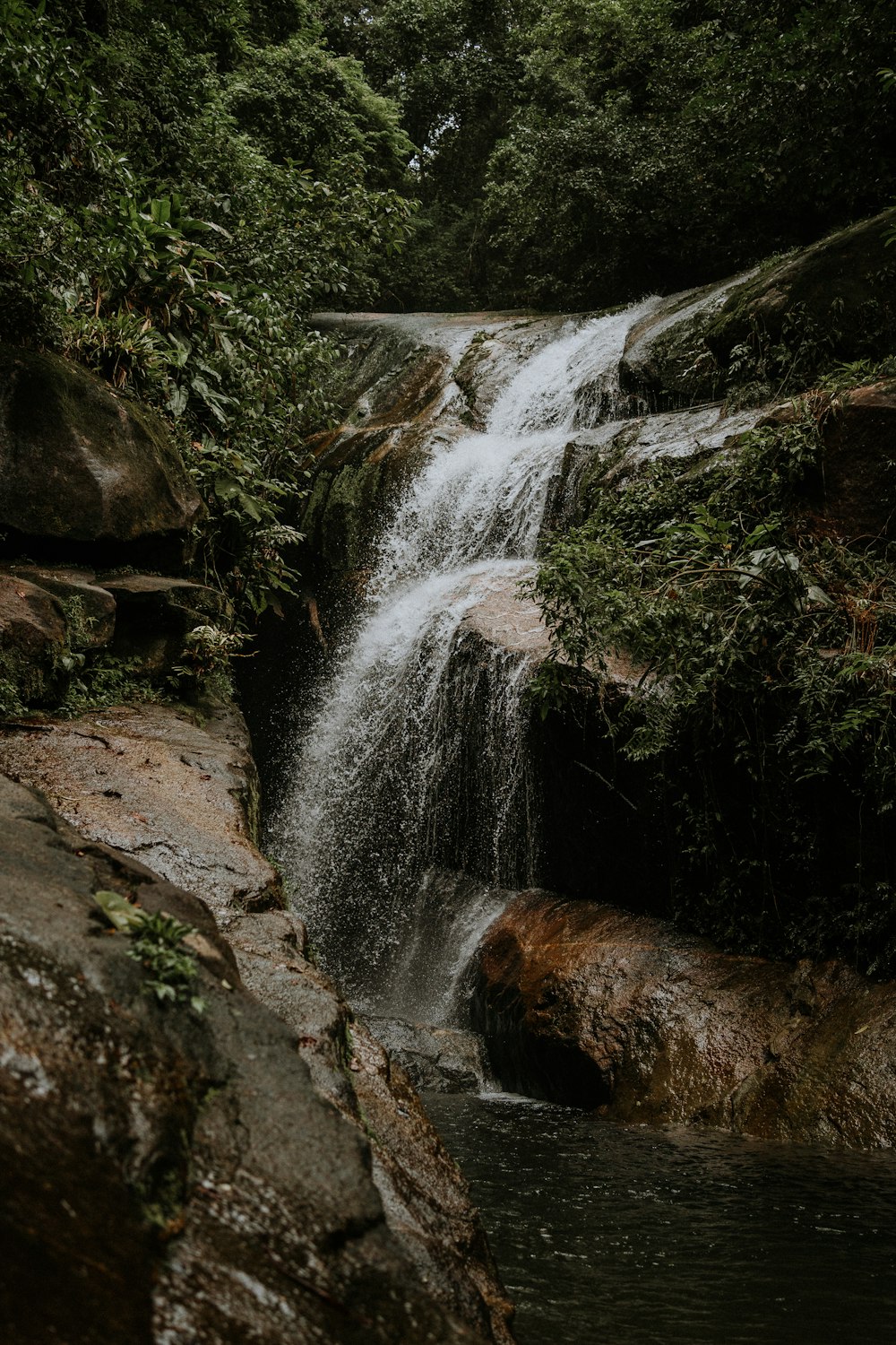 a small waterfall in the middle of a forest