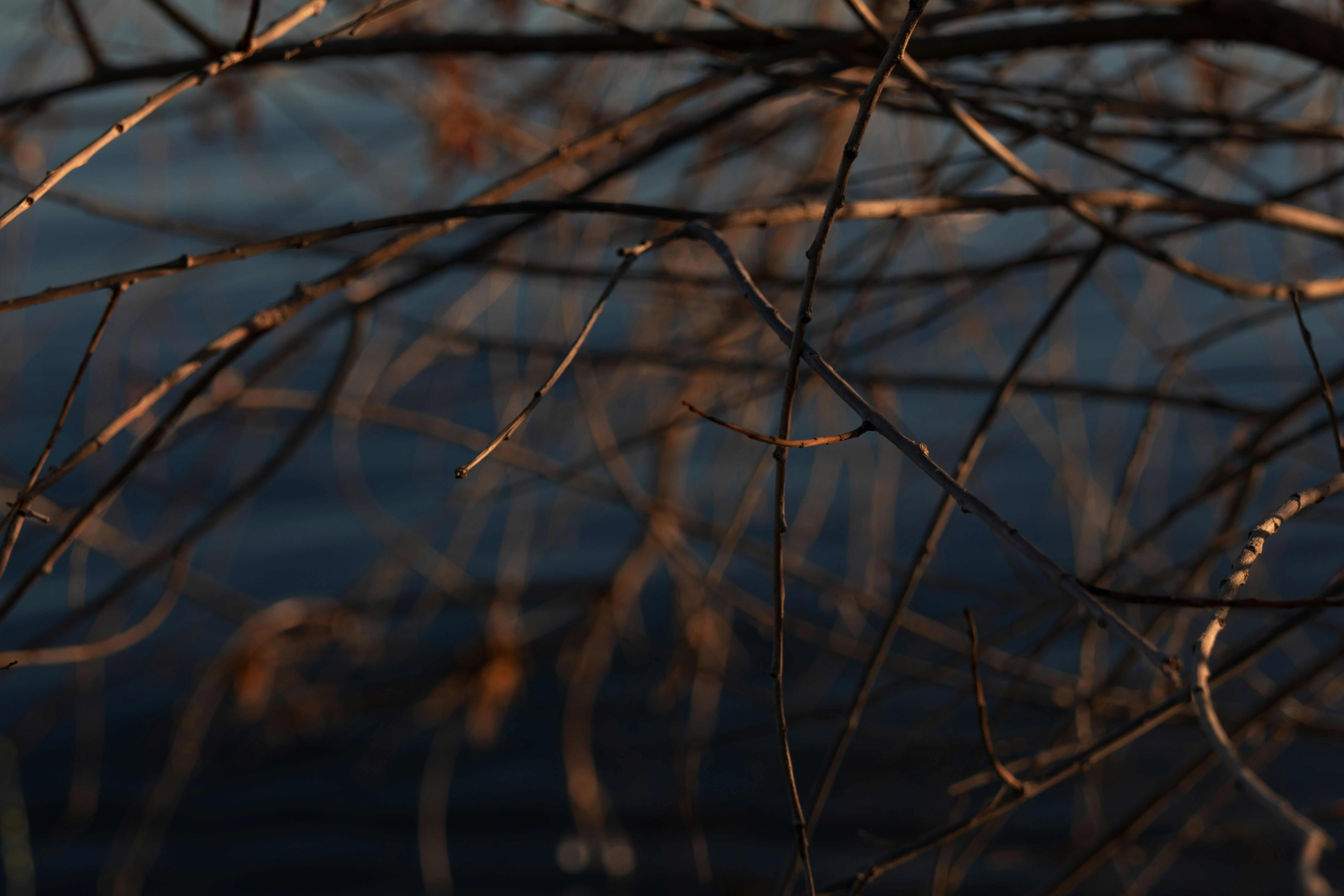 Photo by brandonstoll