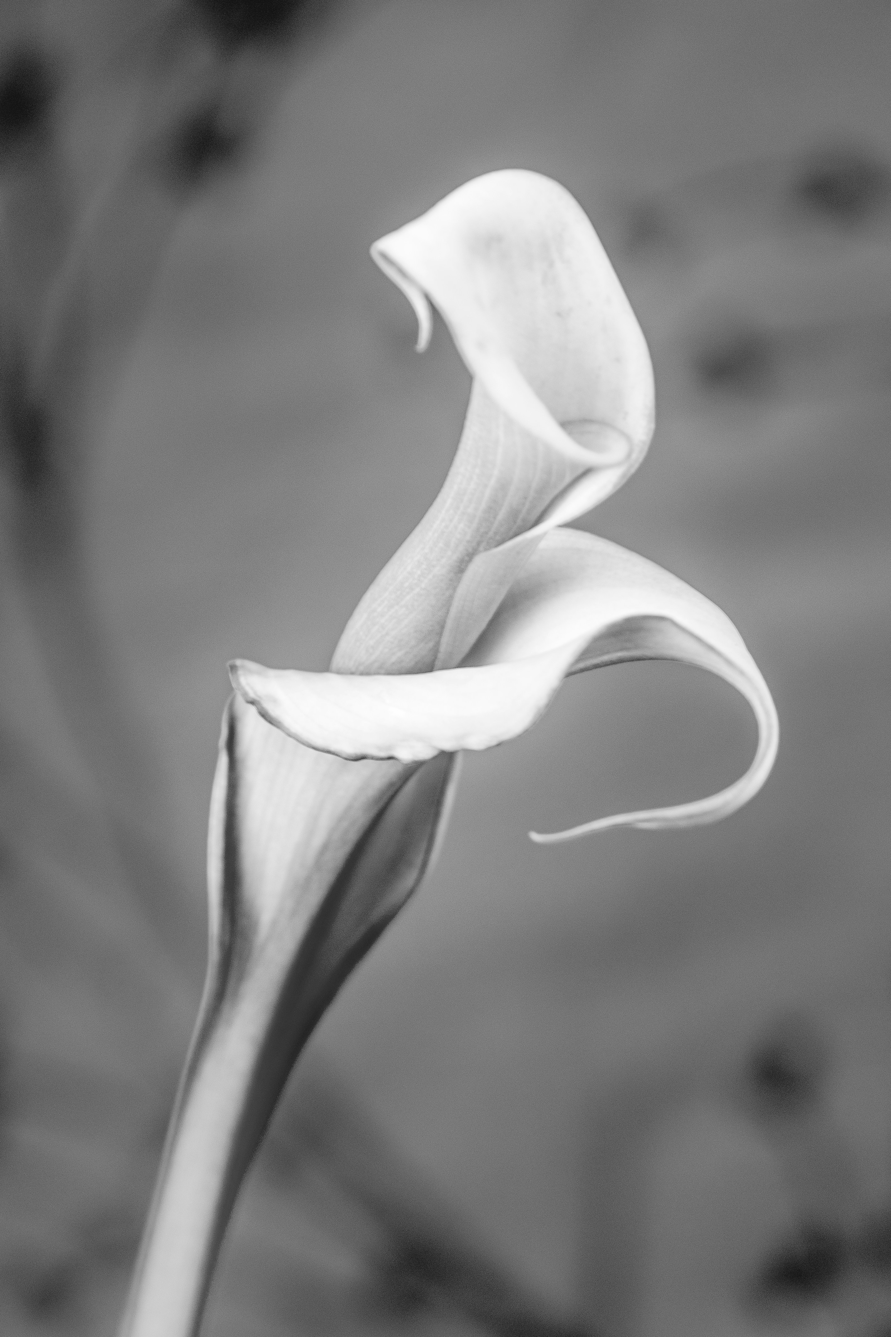 Photo by photosbyrachelo