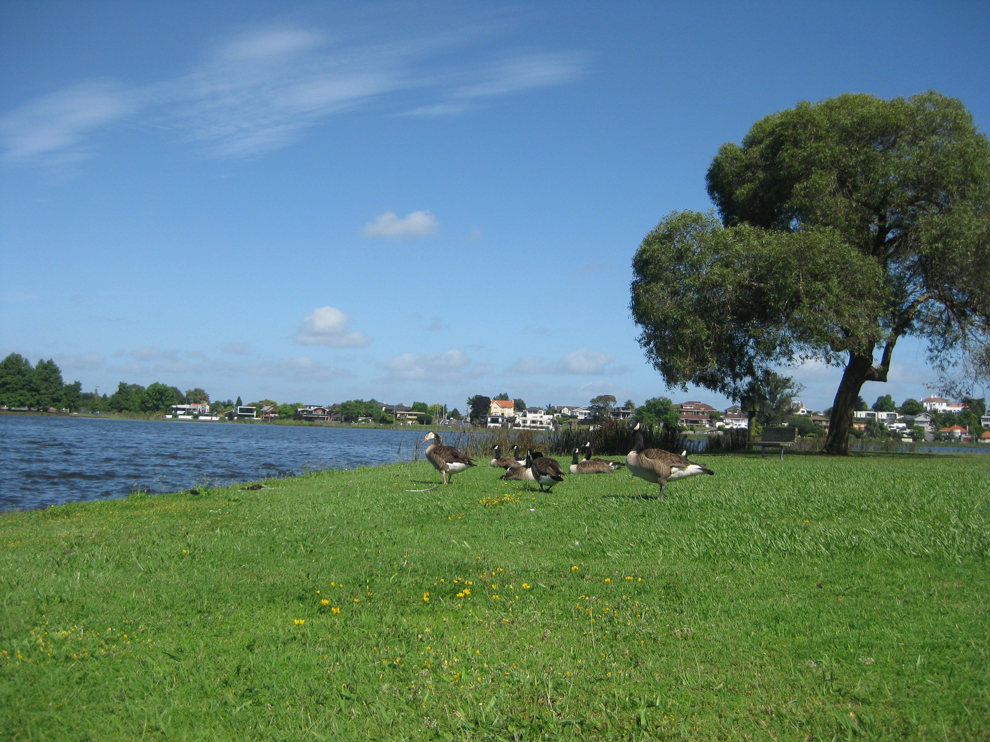 Photo by baulkhamhills1000