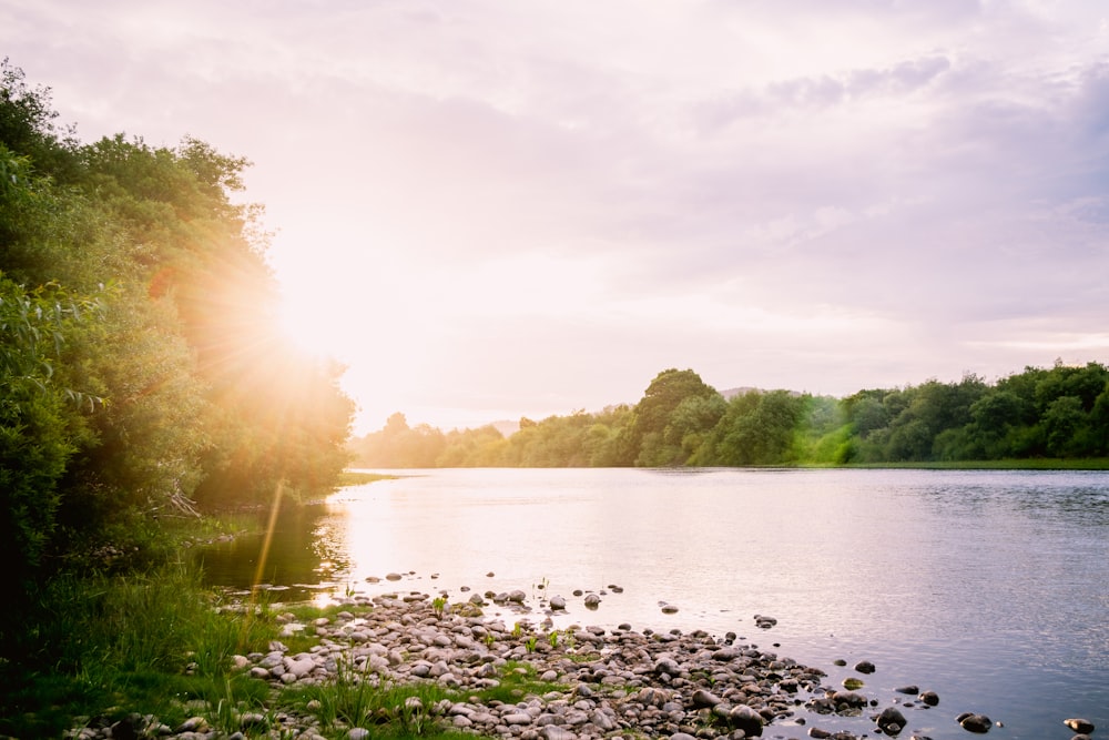 the sun shines brightly over a lake surrounded by trees