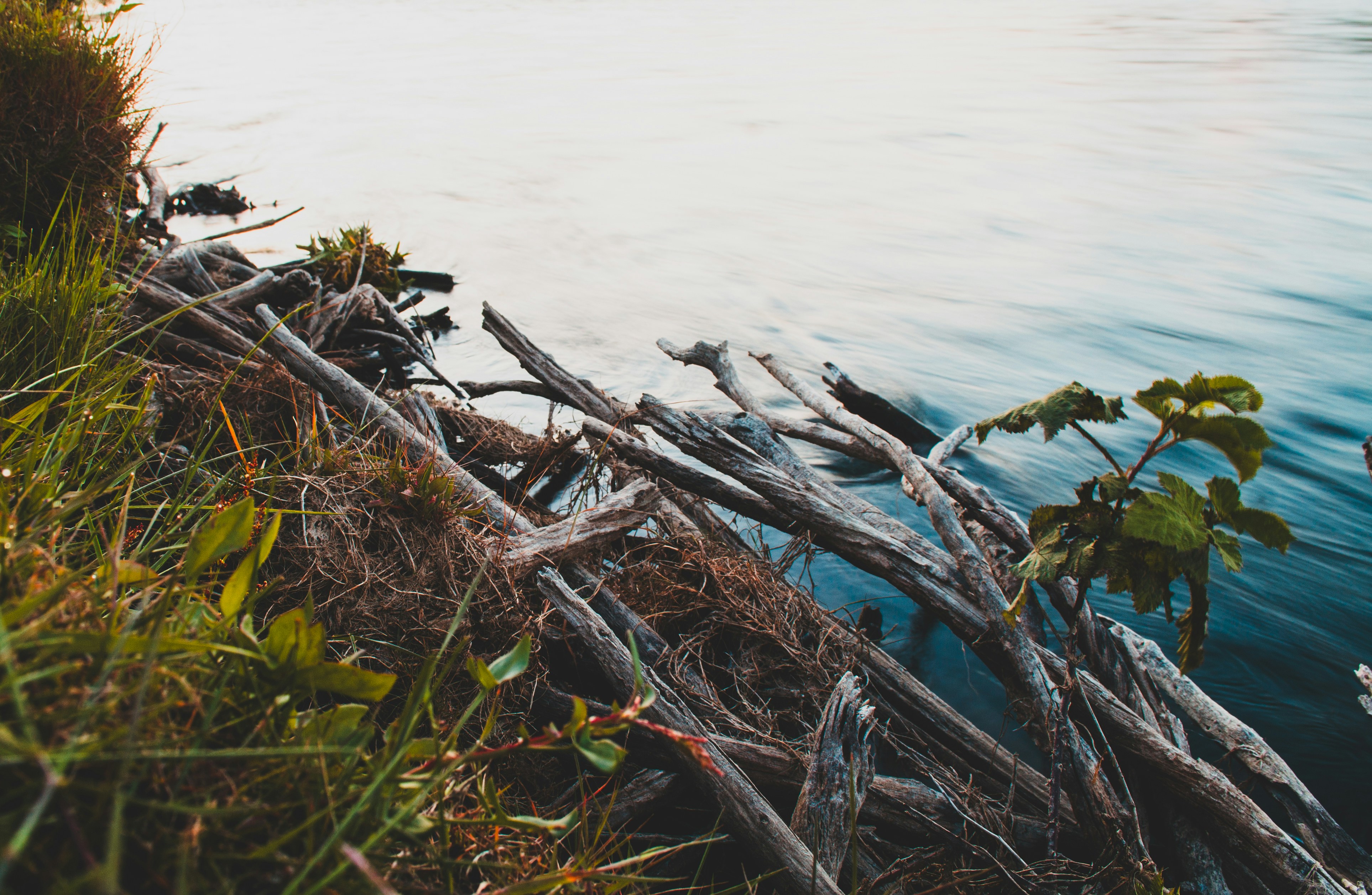 Photo by eliecergallegos