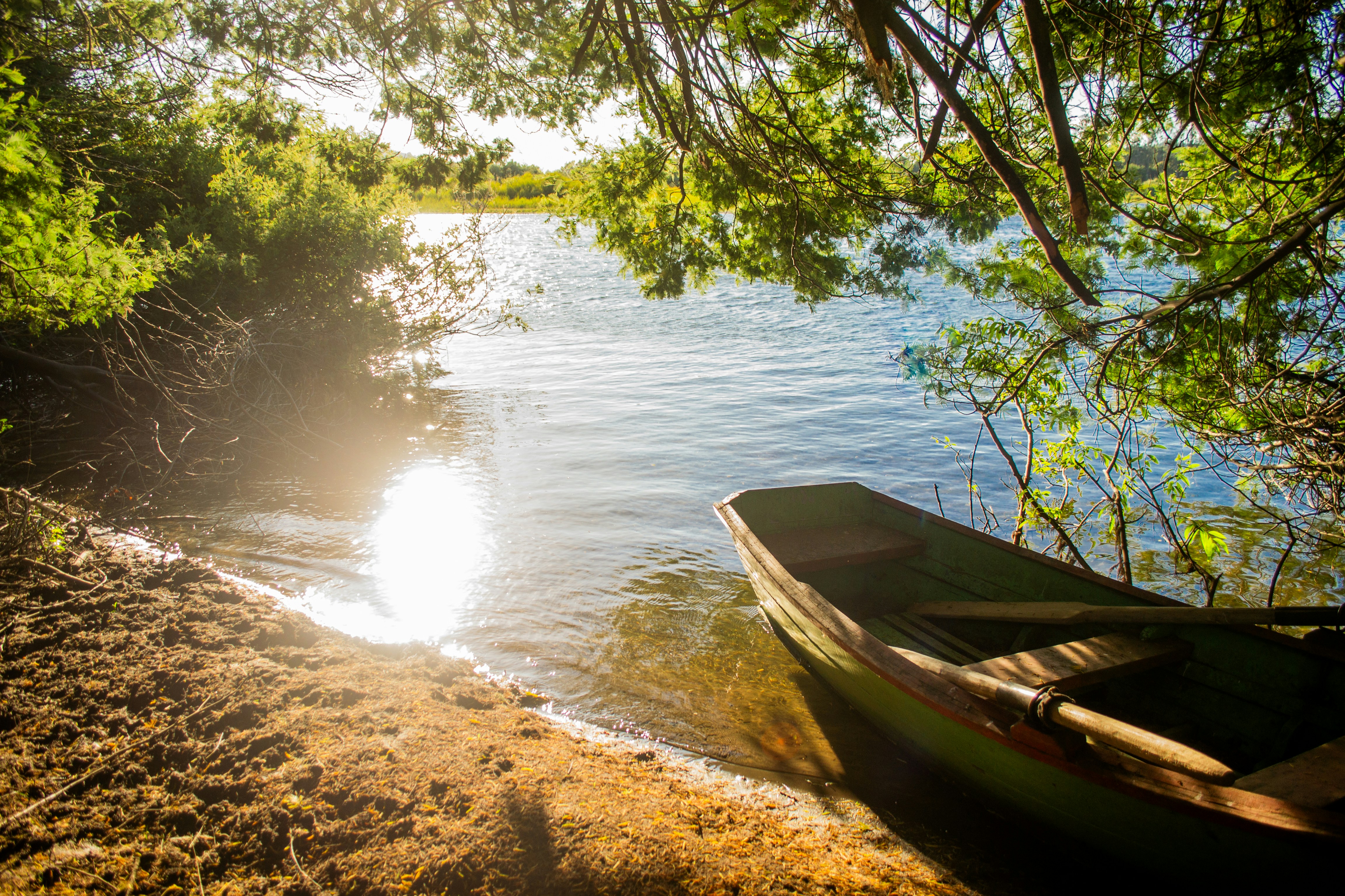 Photo by eliecergallegos