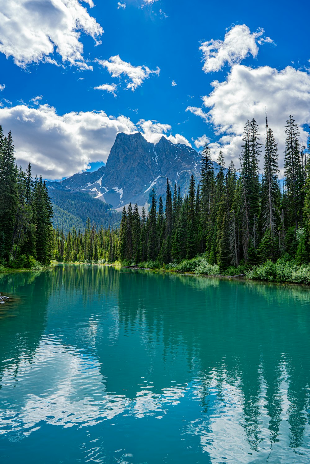 a lake surrounded by trees and a mountain in the background