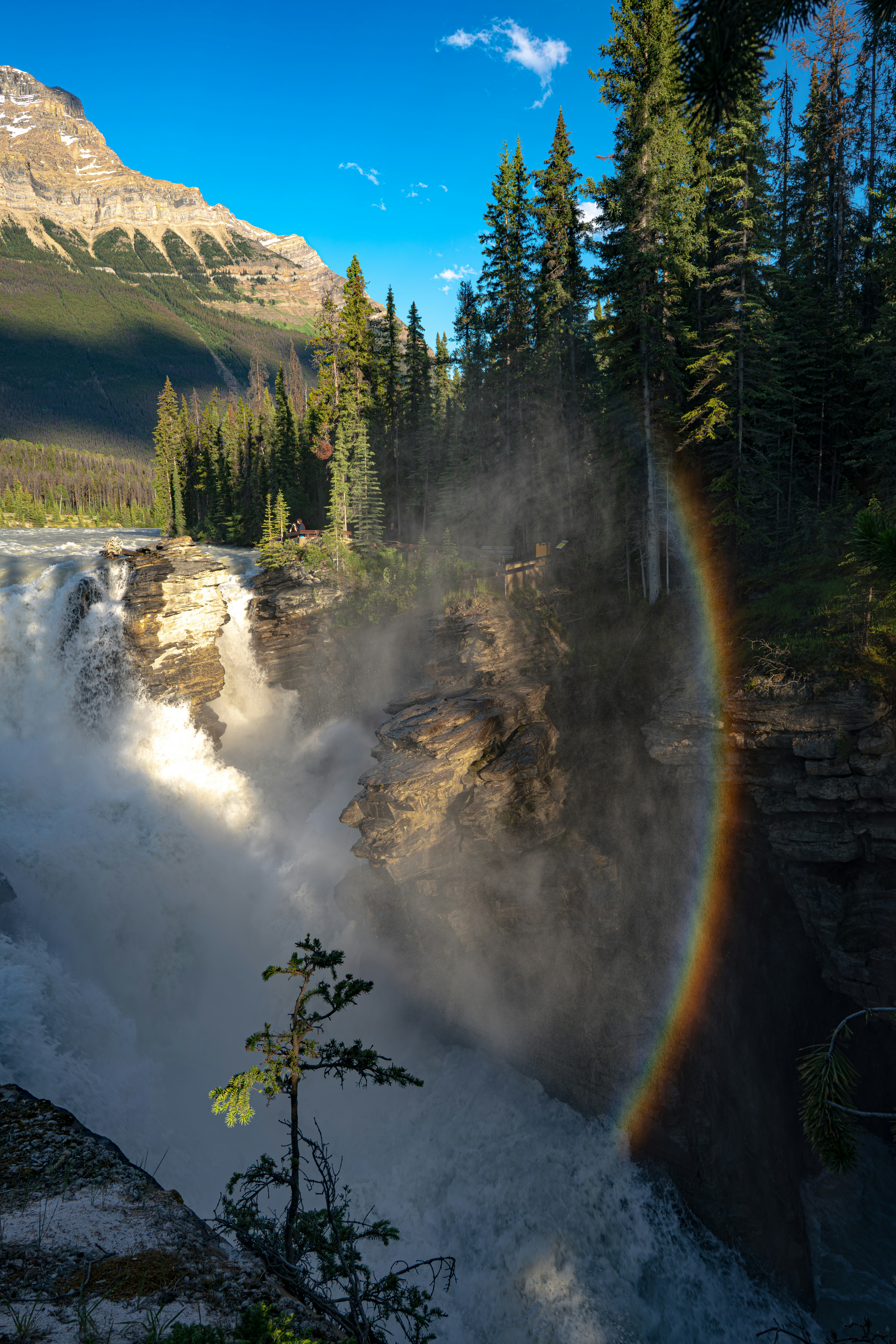 Athabasca Falls photo 3