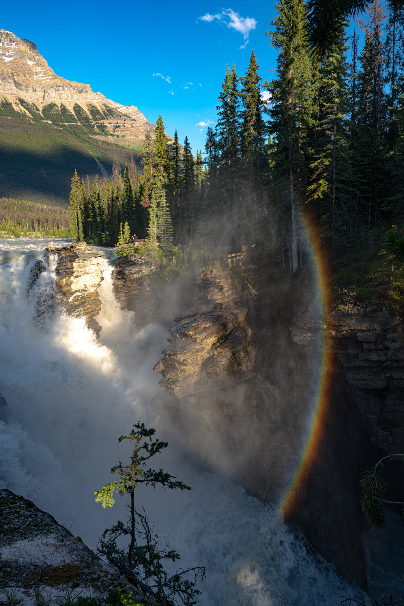 Rainbow over Athabasca Falls in Jasper National Park Alberta Canada with the waterfall visible and the forested Canadian Rocky Mountain landscape around it