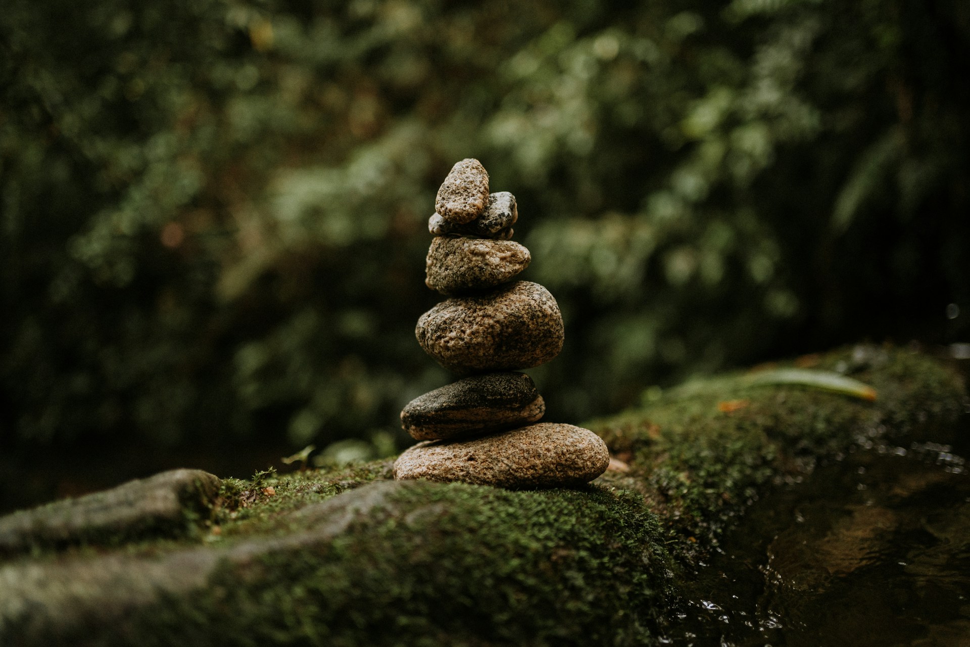a stack of rocks sitting on top of a moss covered rock