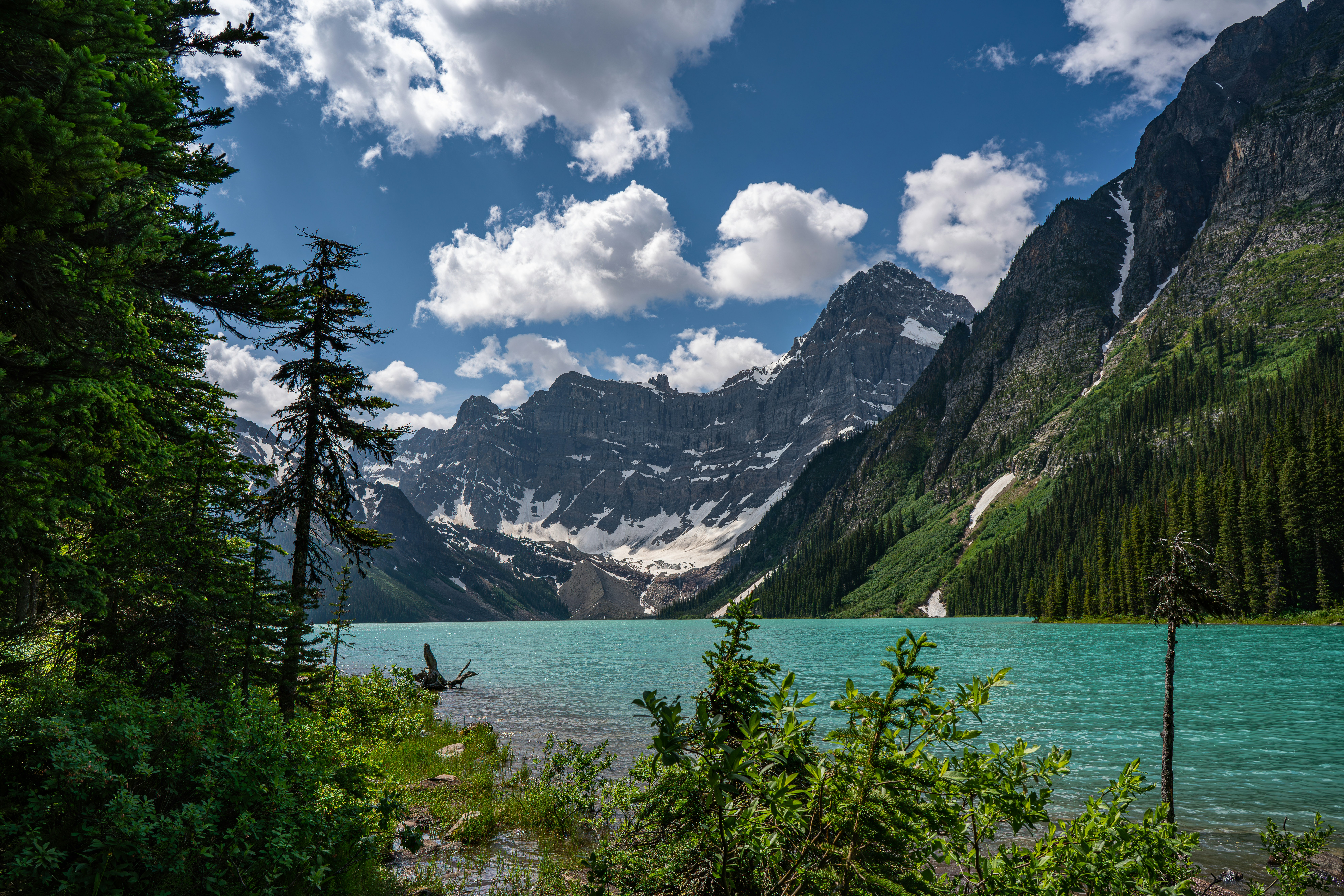 Photo by fortuitousfoto