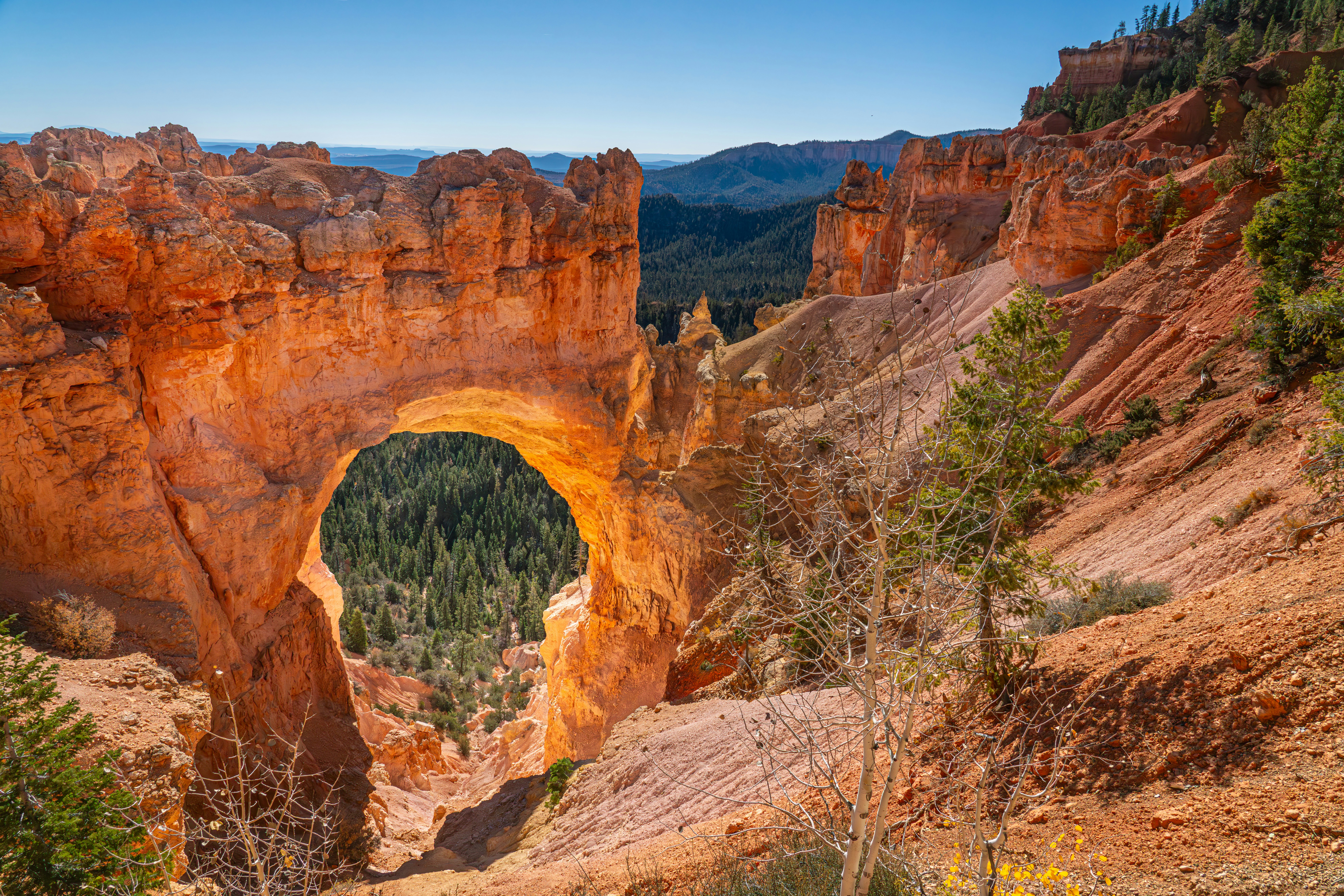 Natural Bridge photo 2