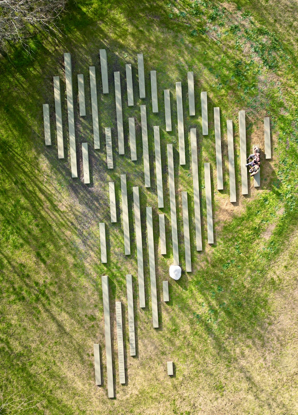 a couple of people sitting on a bench in a field