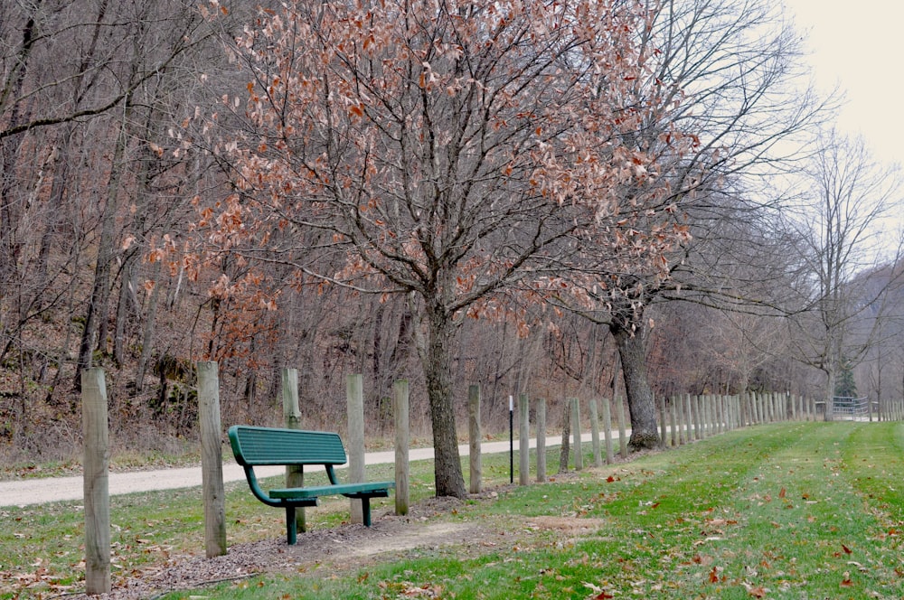 a green park bench next to a row of trees