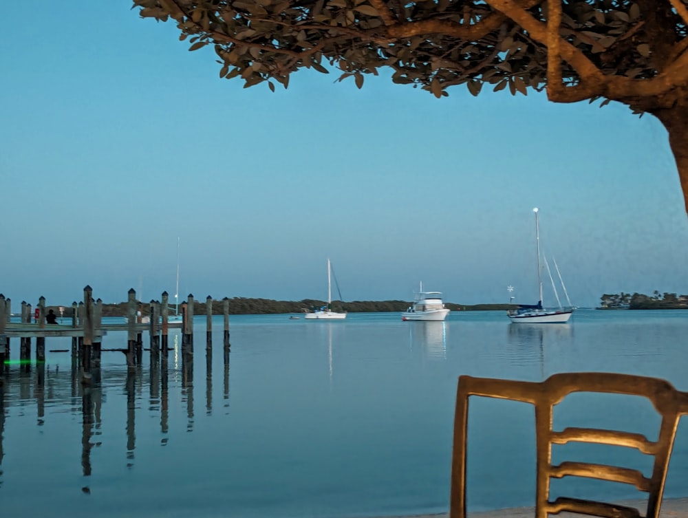 a chair sitting on a dock next to a body of water