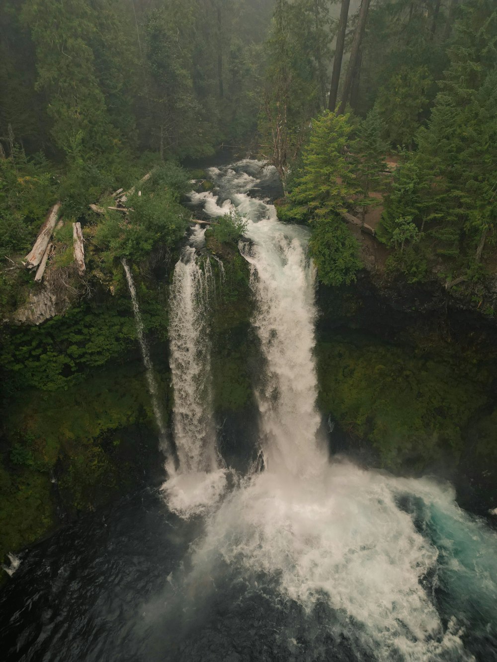 a large waterfall in the middle of a forest