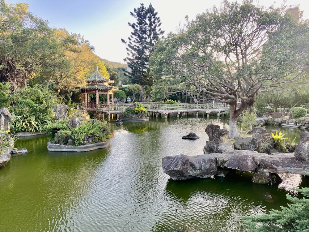 a pond in a park surrounded by trees and rocks