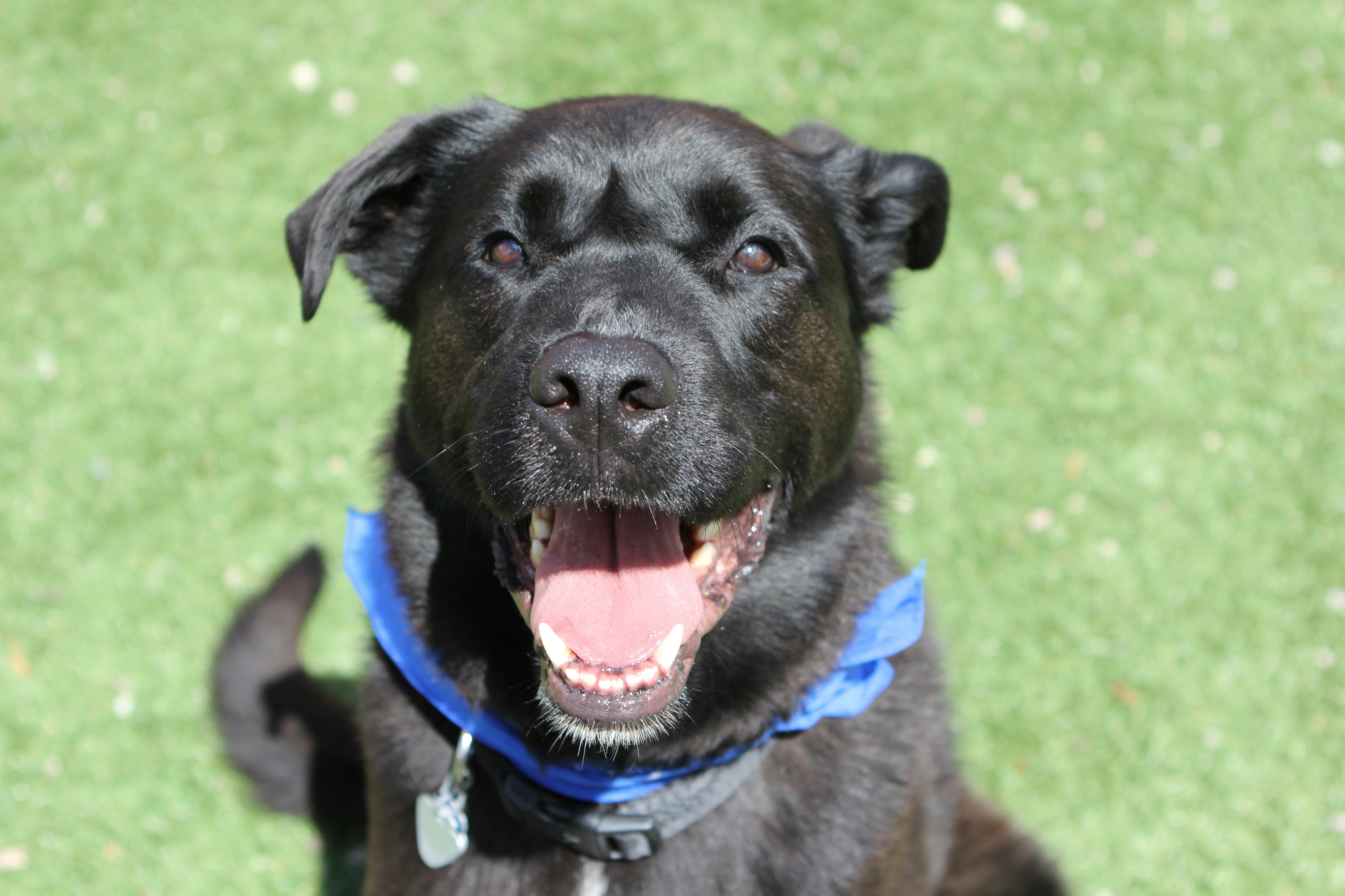 Photo by judy_beth_morris_idaho