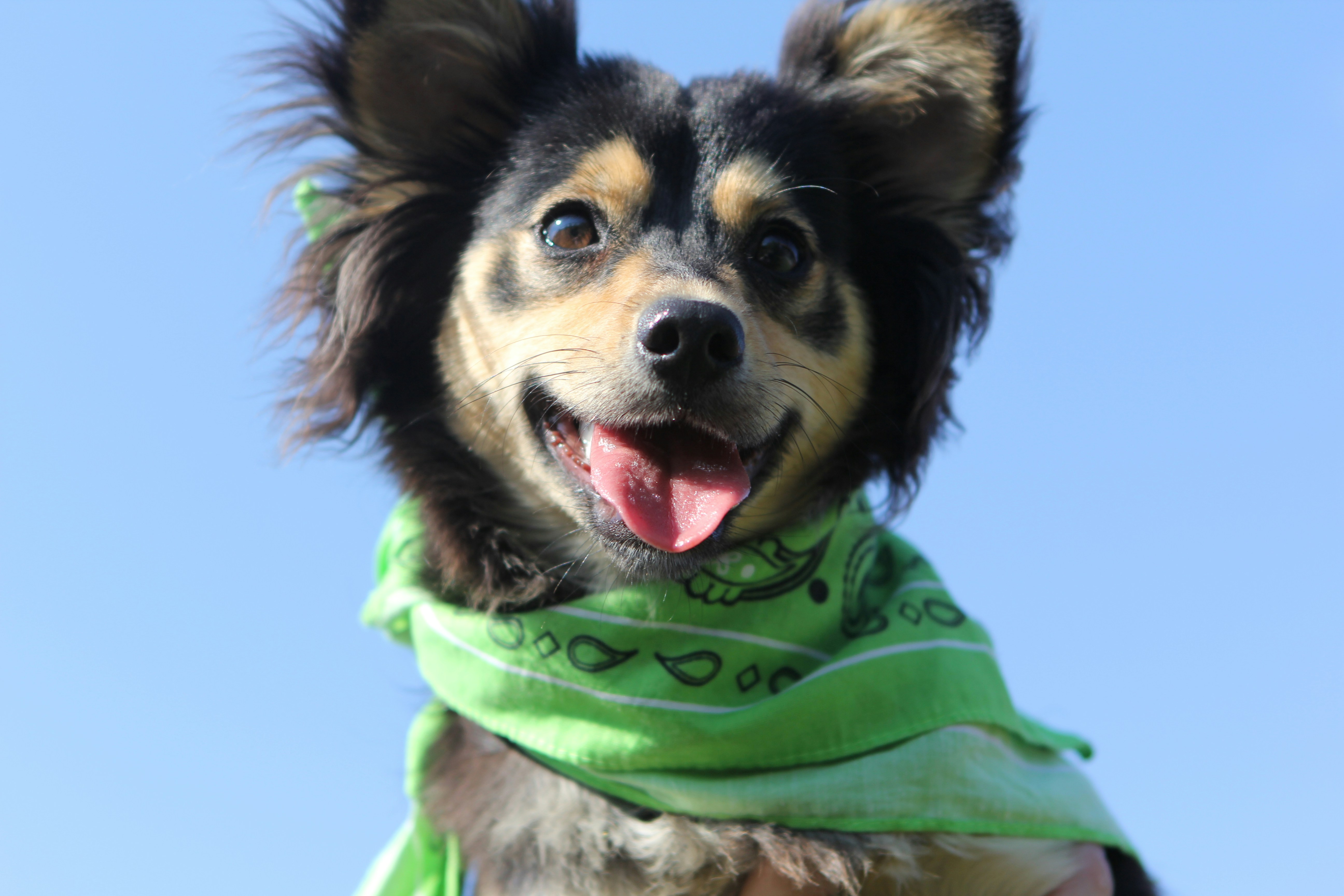 Photo by judy_beth_morris_idaho