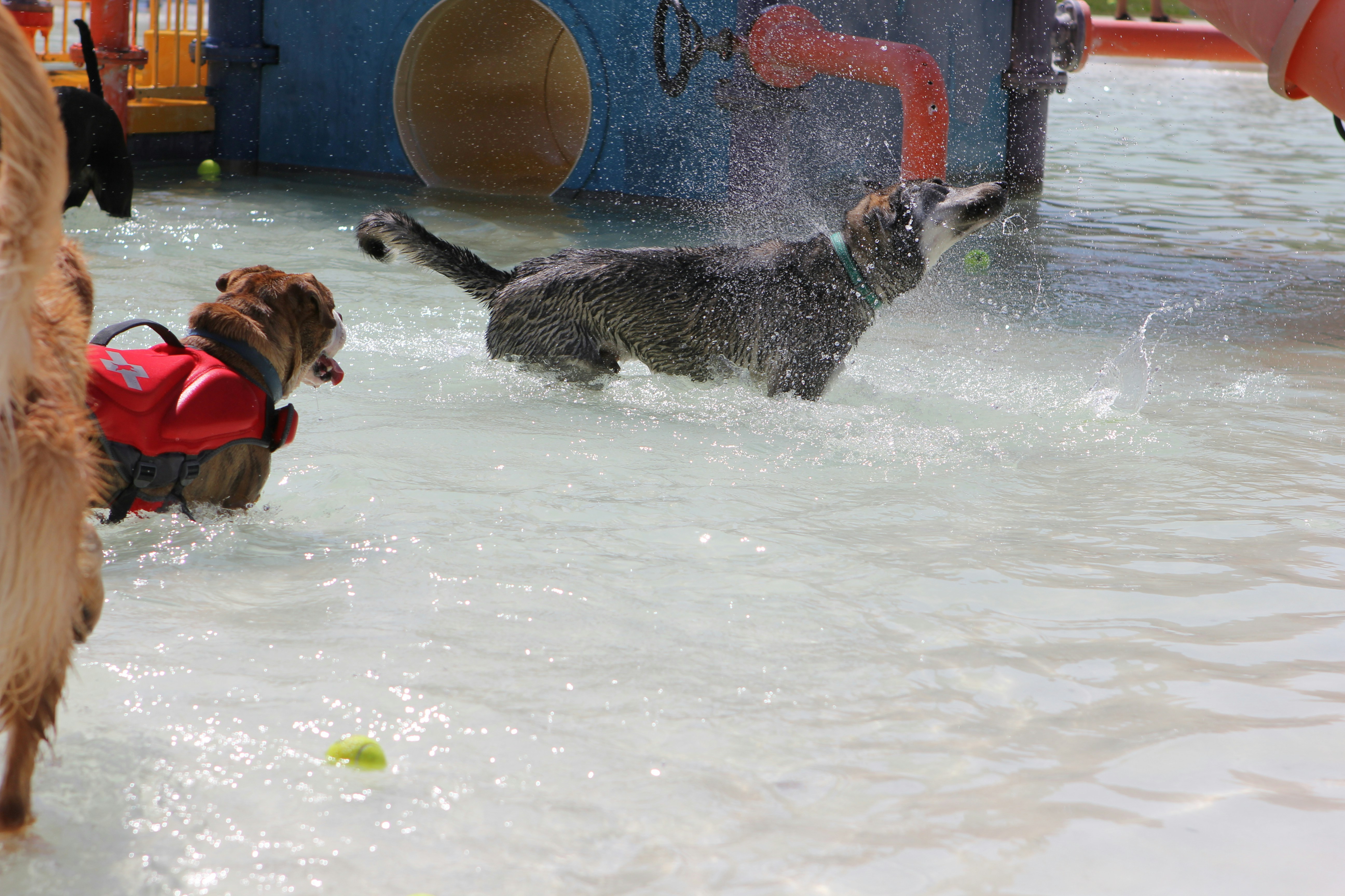 Photo by judy_beth_morris_idaho