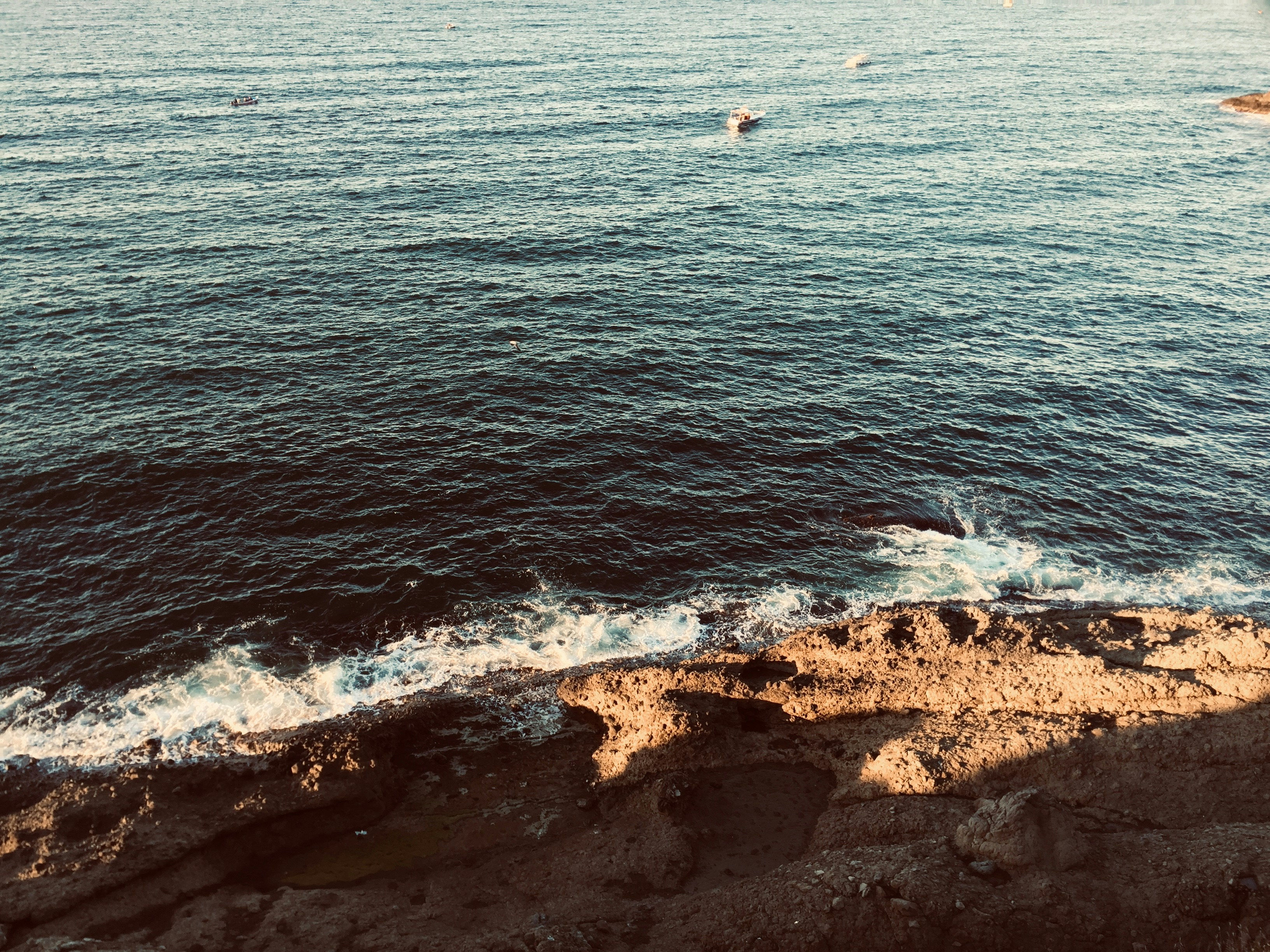 Photo by alpisbelonghere