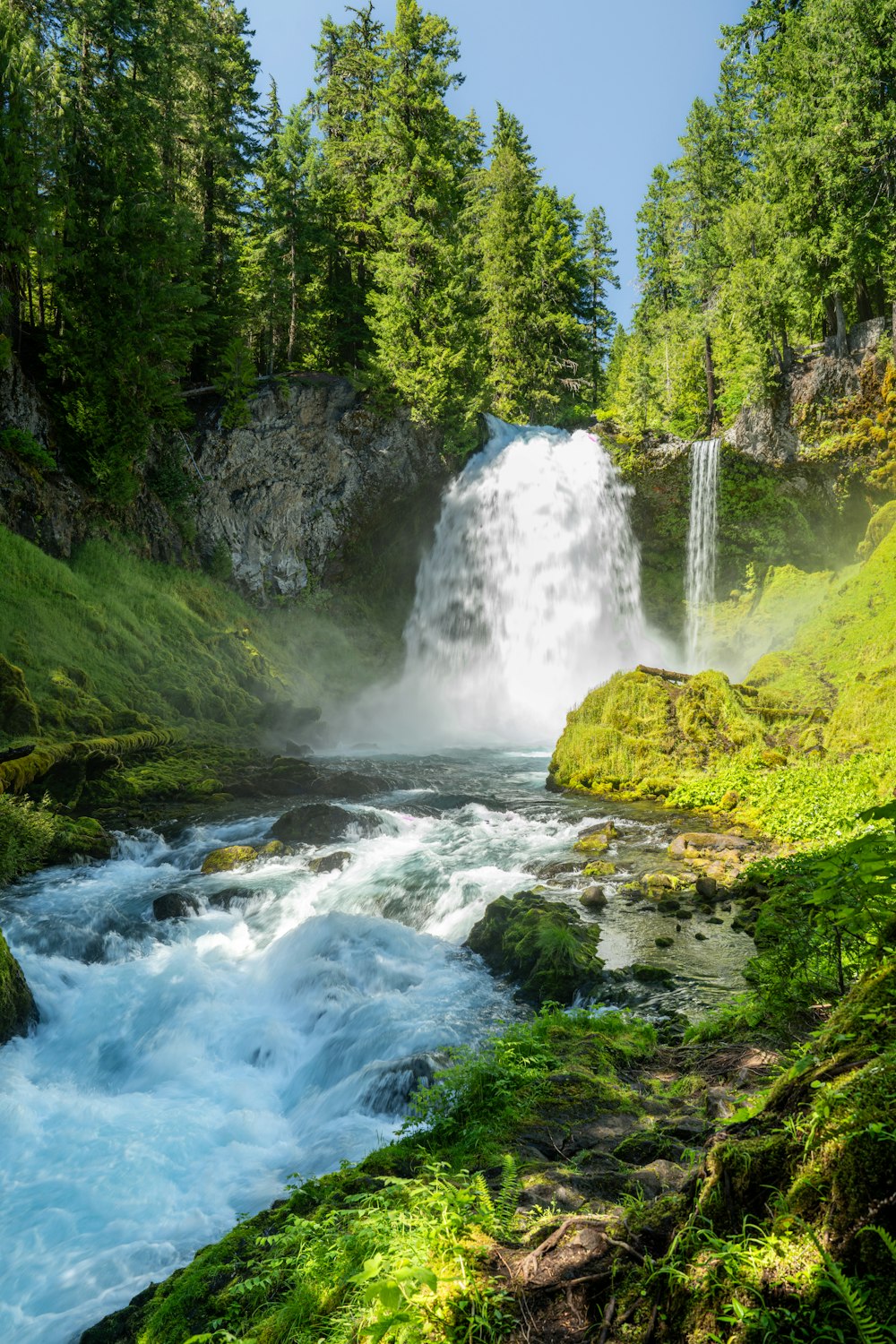 a waterfall in the middle of a forest