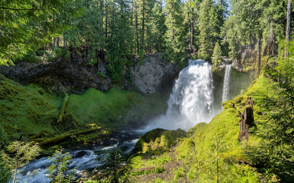 una cascata in mezzo a una foresta