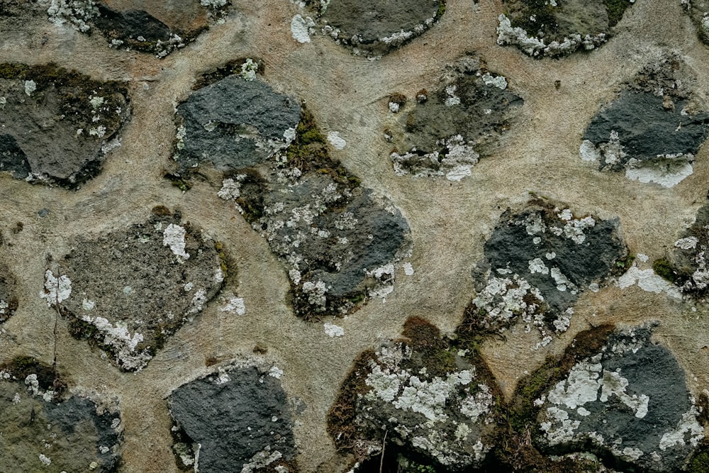 Eine Nahaufnahme von Felsen, auf denen Moos wächst