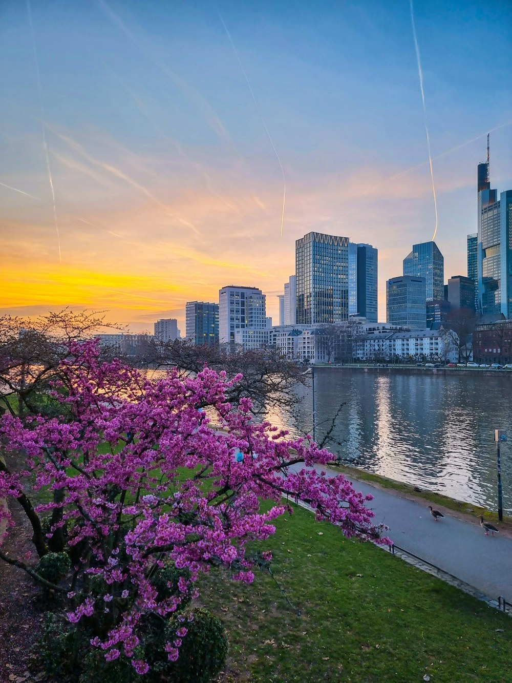 Una hermosa vista de una ciudad y un río