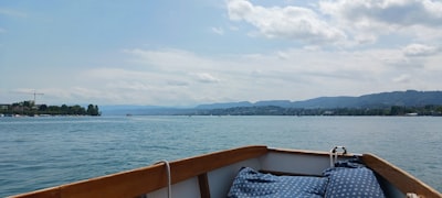 Zürih Gölü Tekne Turu