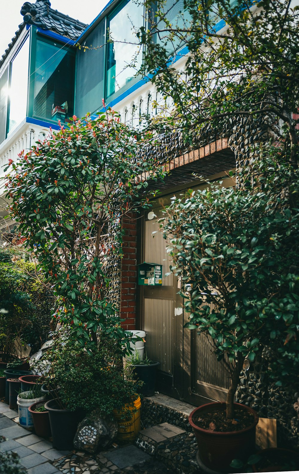 a house that has a bunch of plants in front of it