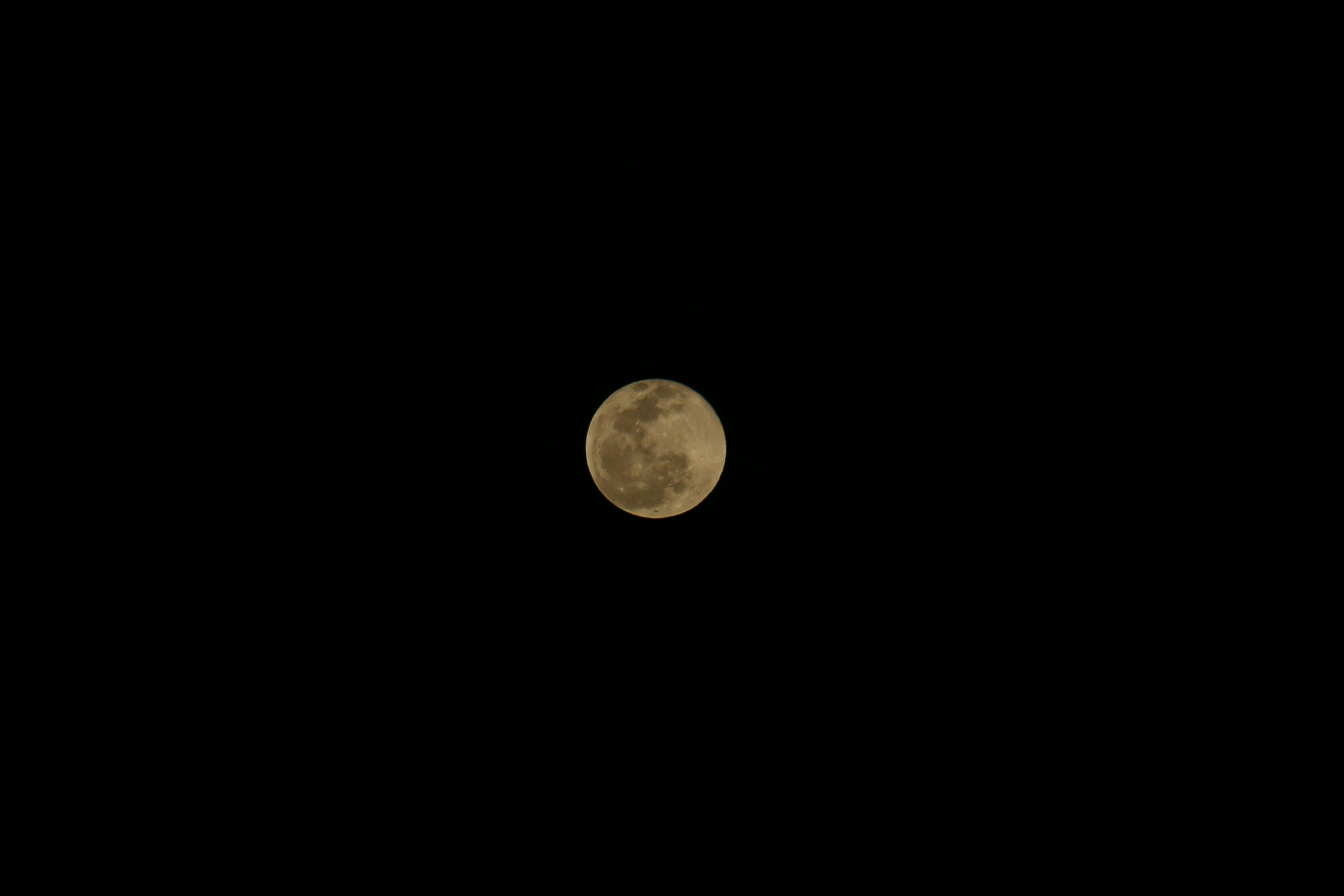 Photo by lenss_reflexx