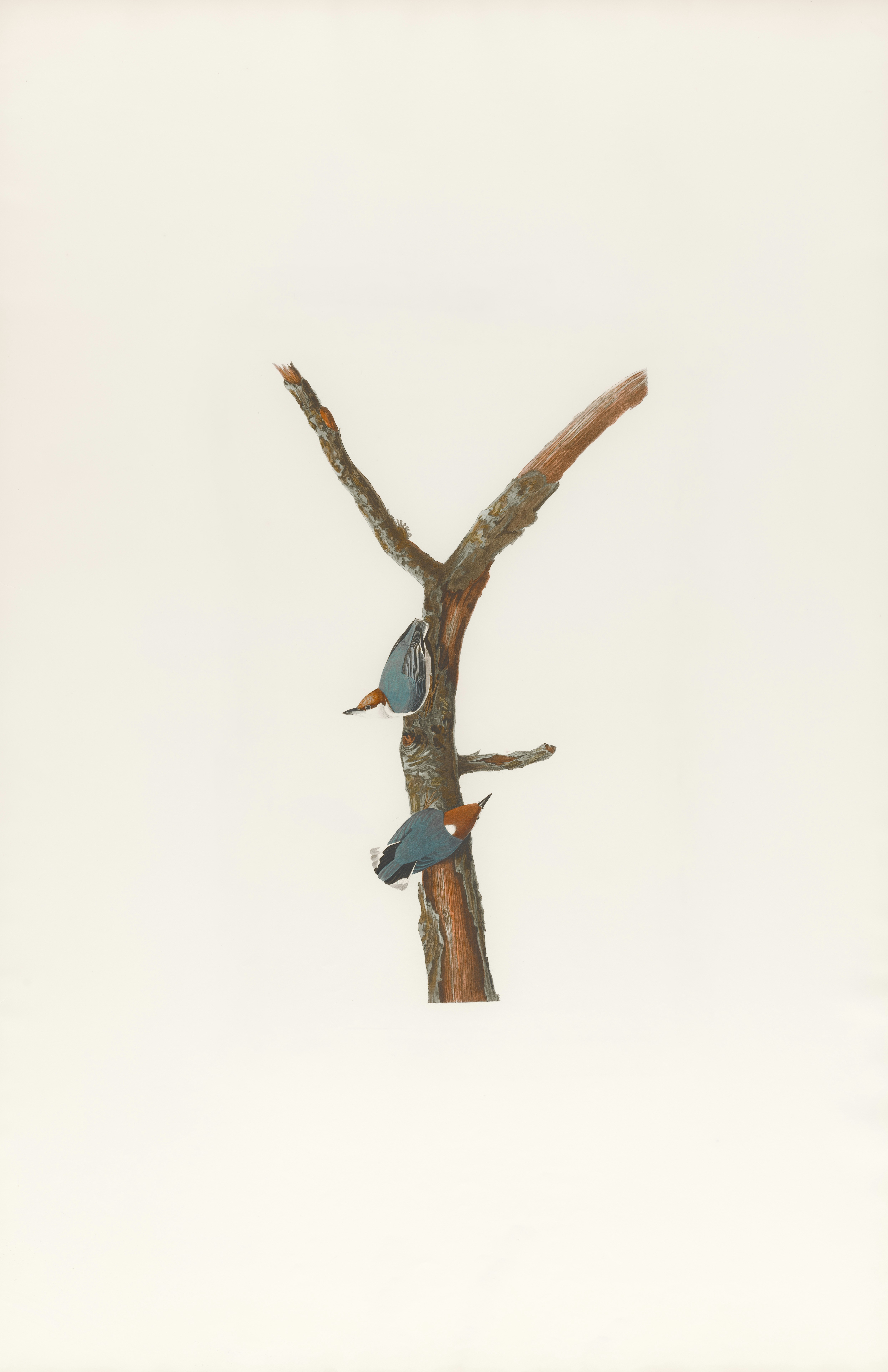 Photo by bostonpubliclibrary