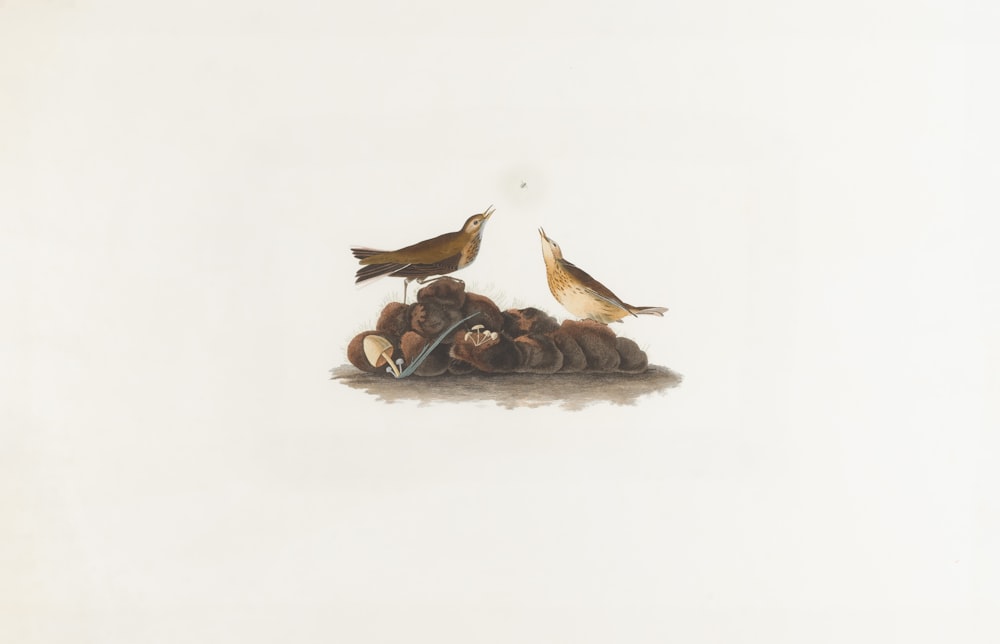 a drawing of two birds sitting on top of a nest