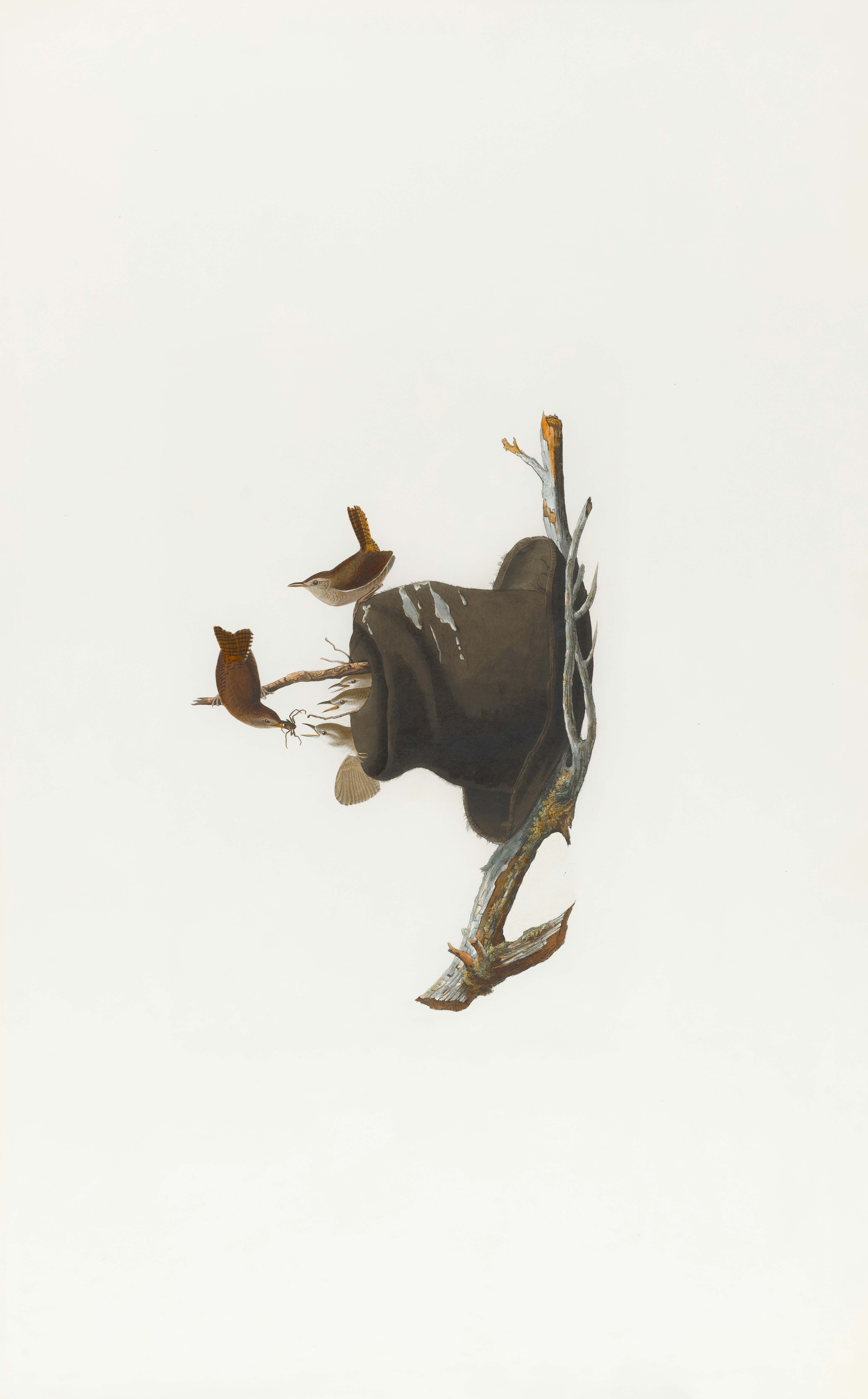 Photo by bostonpubliclibrary