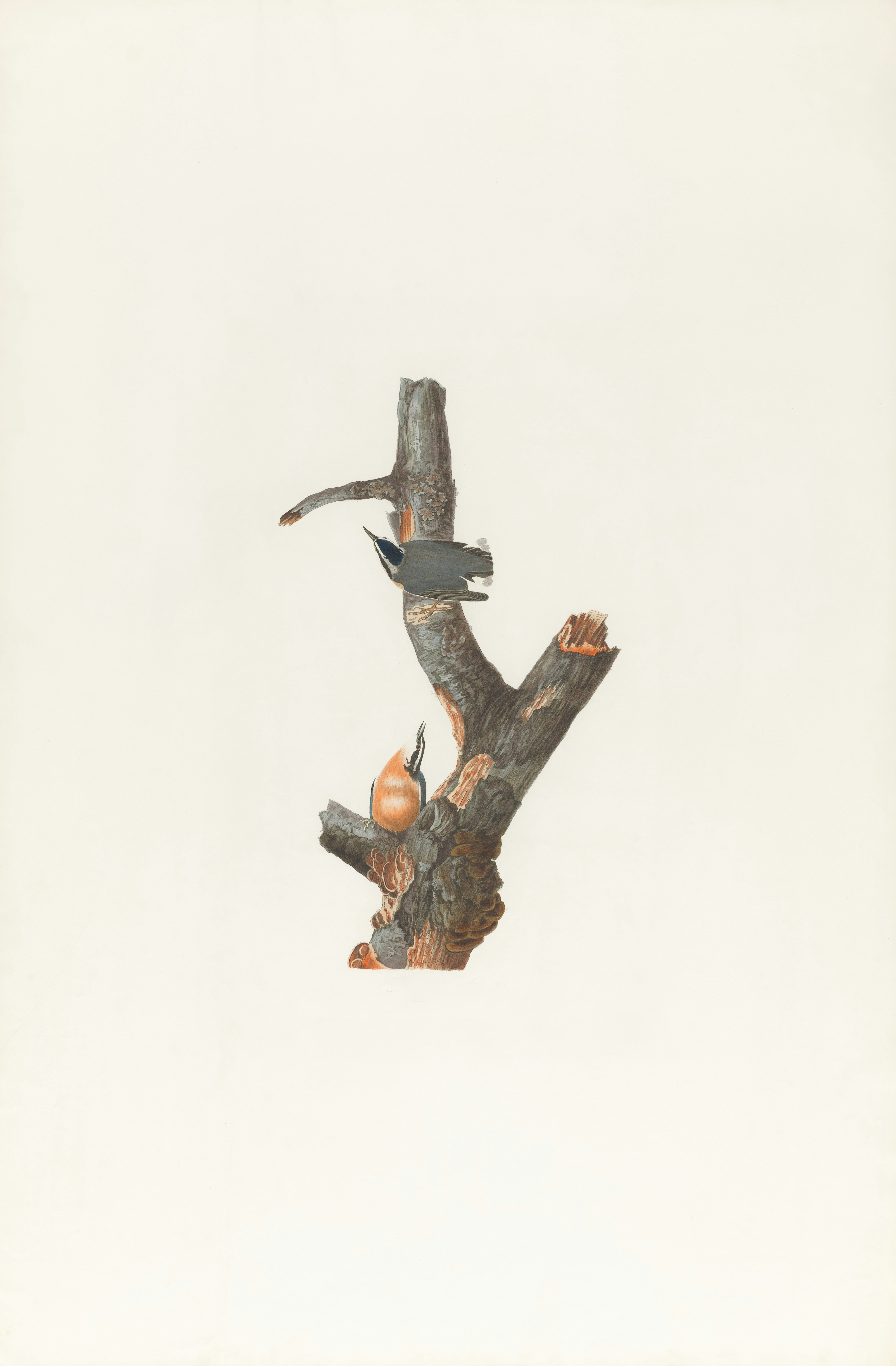 Photo by bostonpubliclibrary