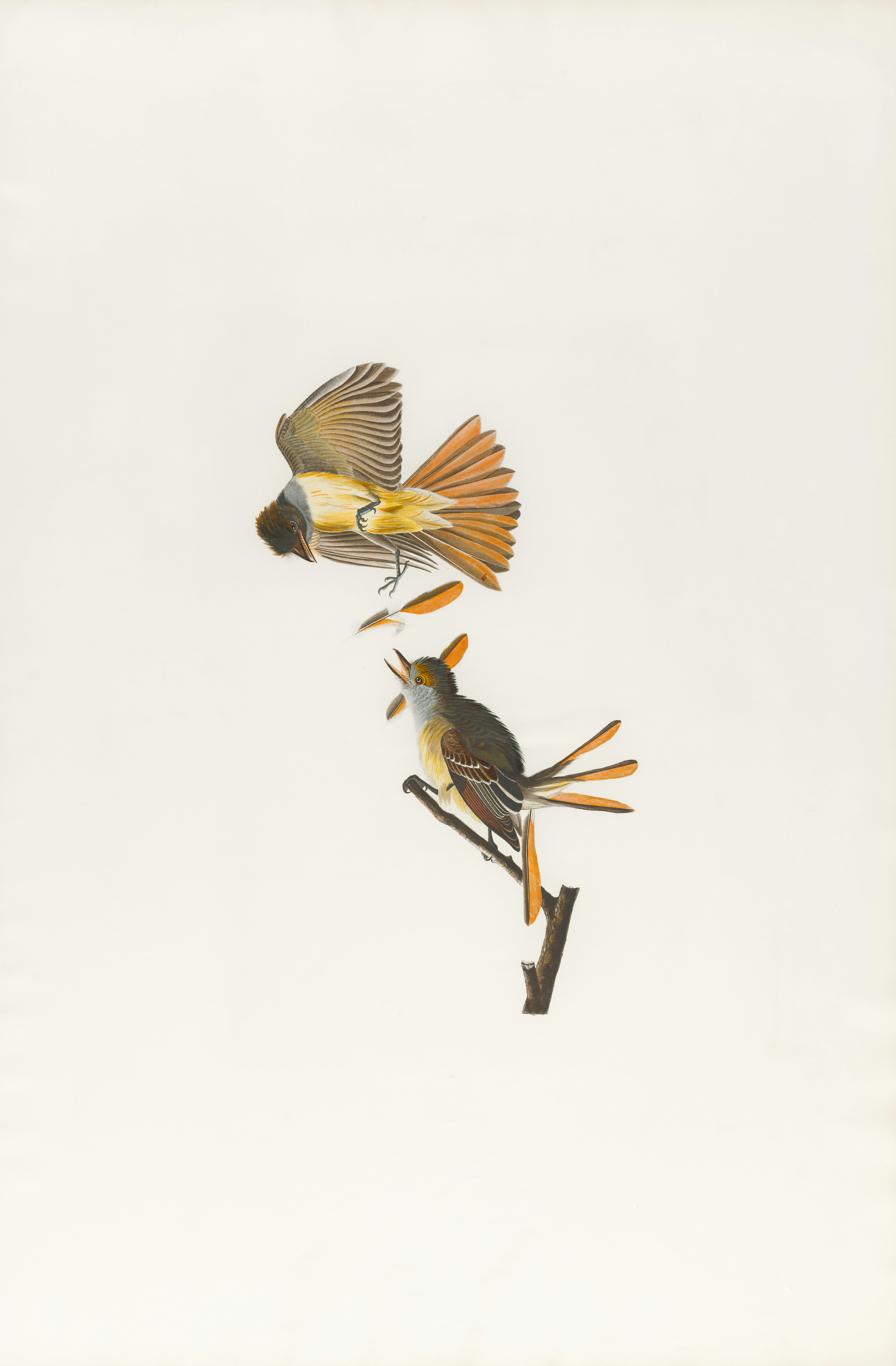 Photo by bostonpubliclibrary