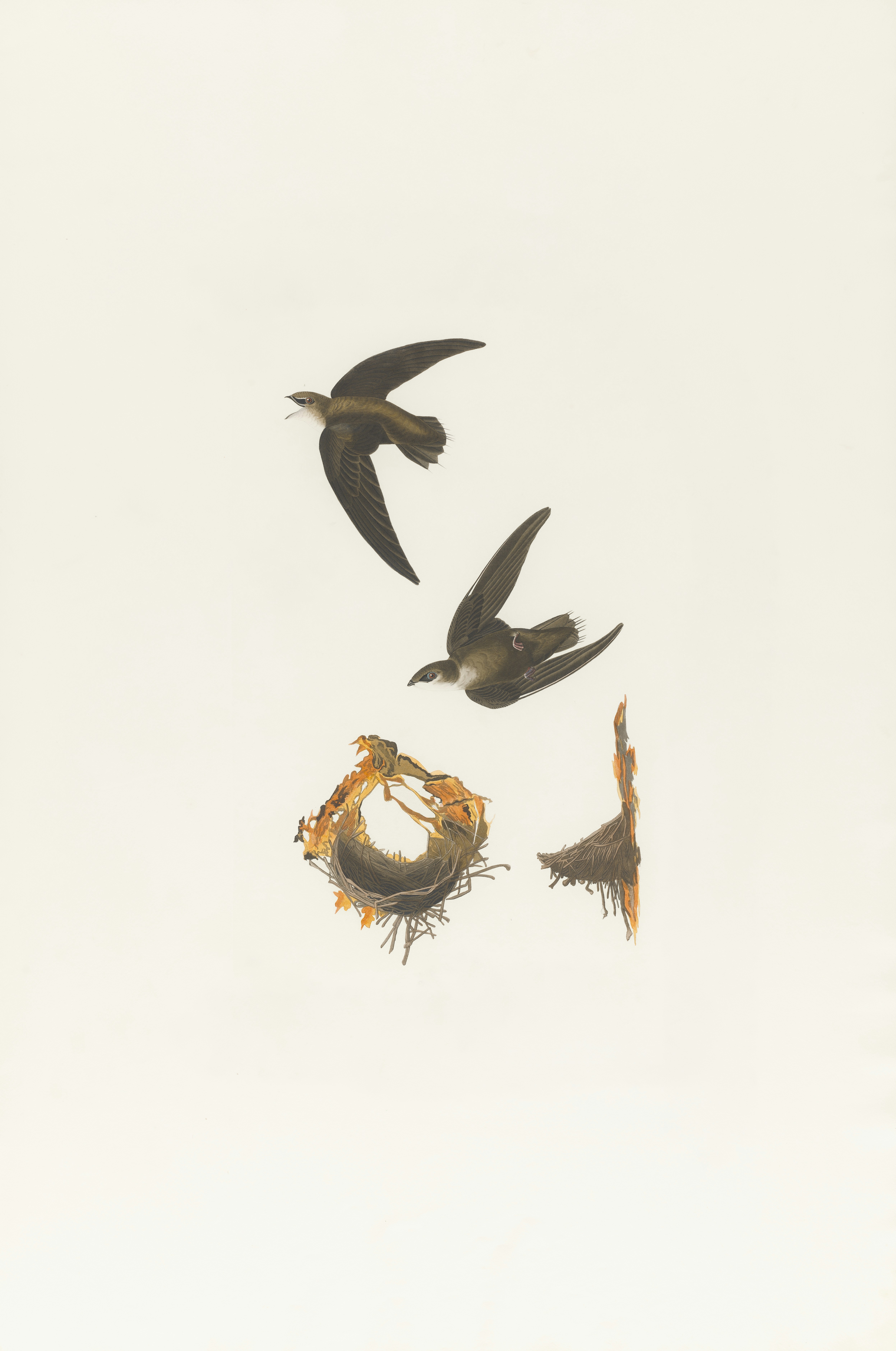 Photo by bostonpubliclibrary