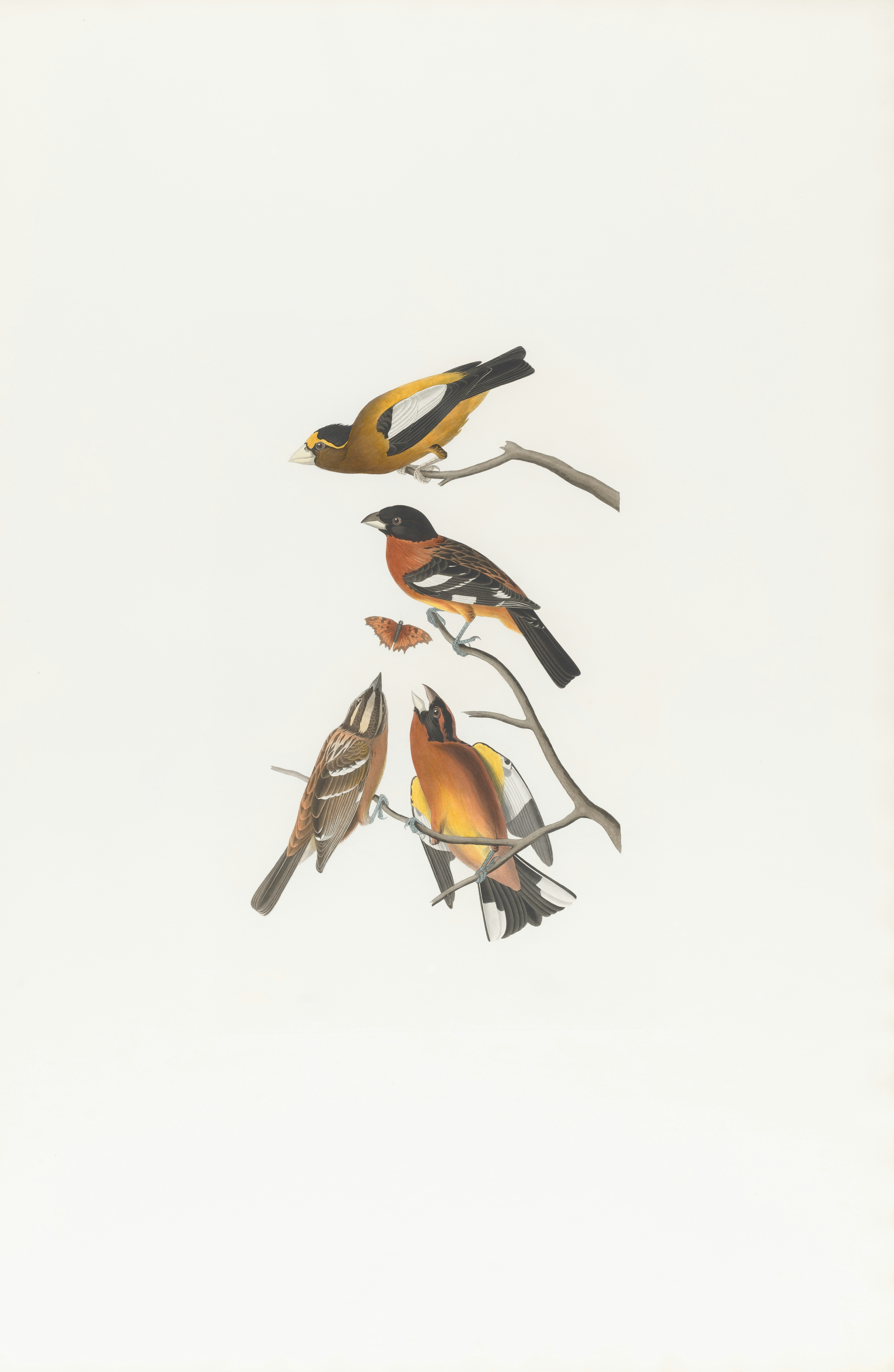 Photo by bostonpubliclibrary