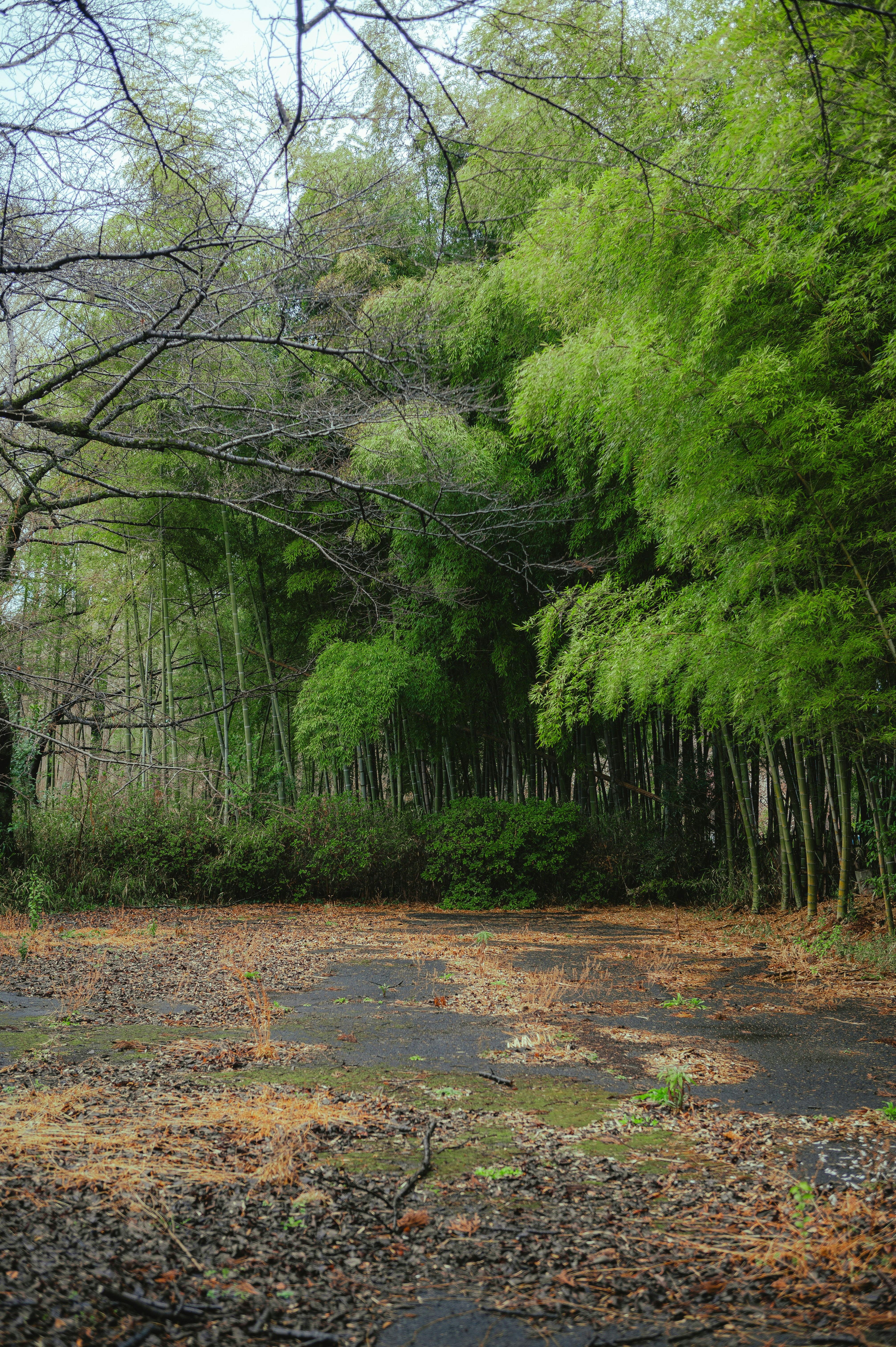 Photo by ryunosuke_kikuno