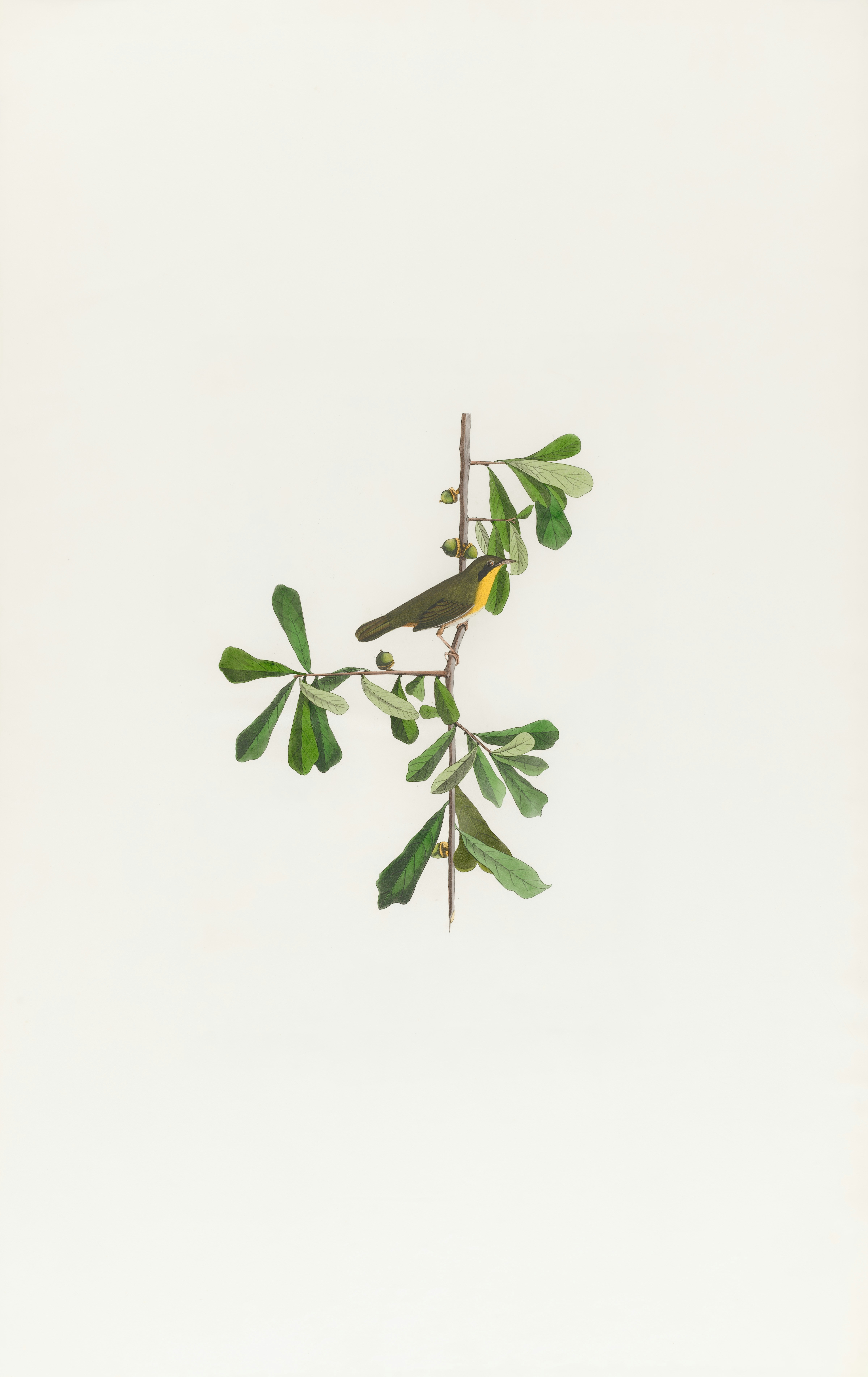 Photo by bostonpubliclibrary