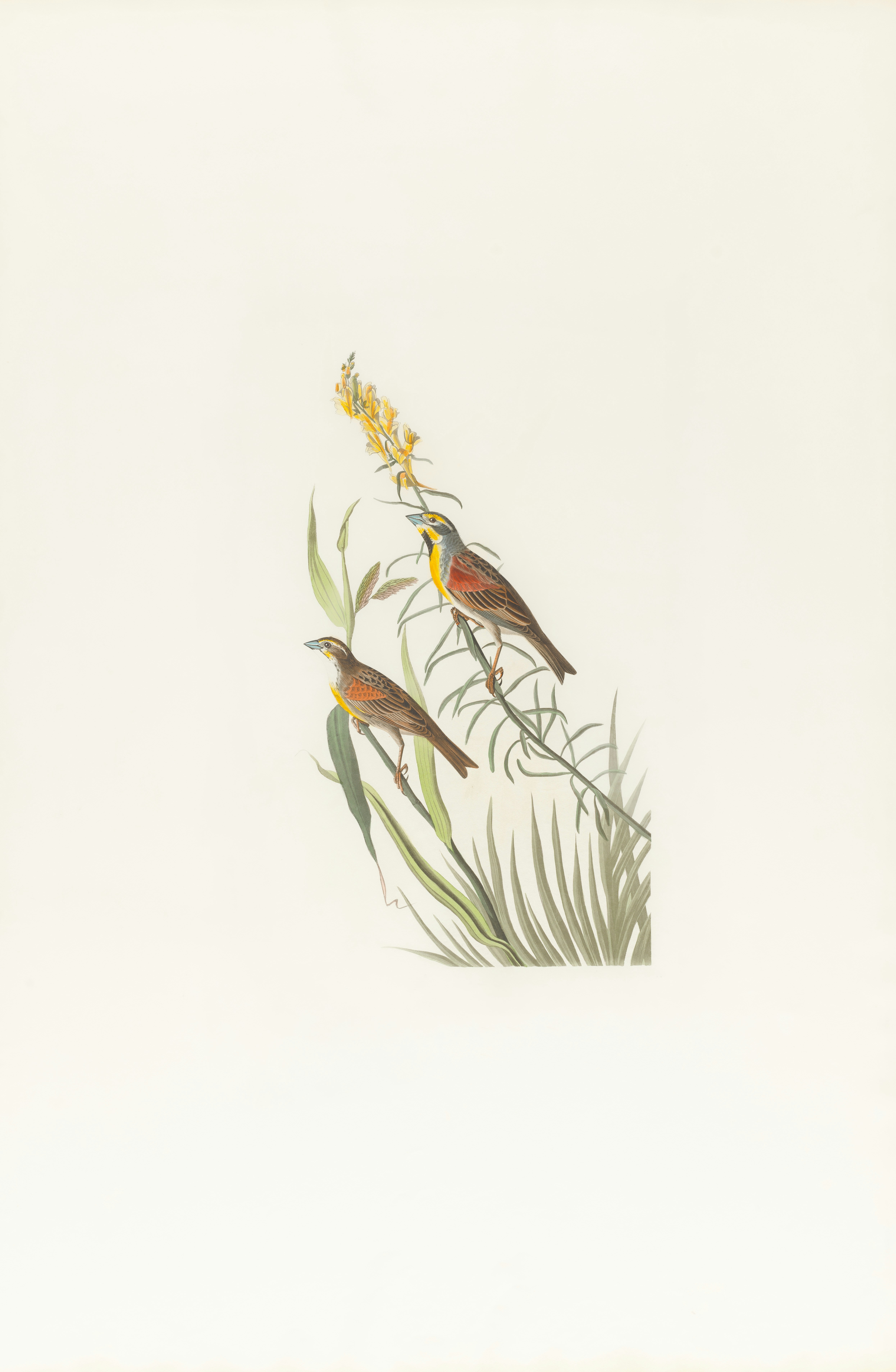 Photo by bostonpubliclibrary